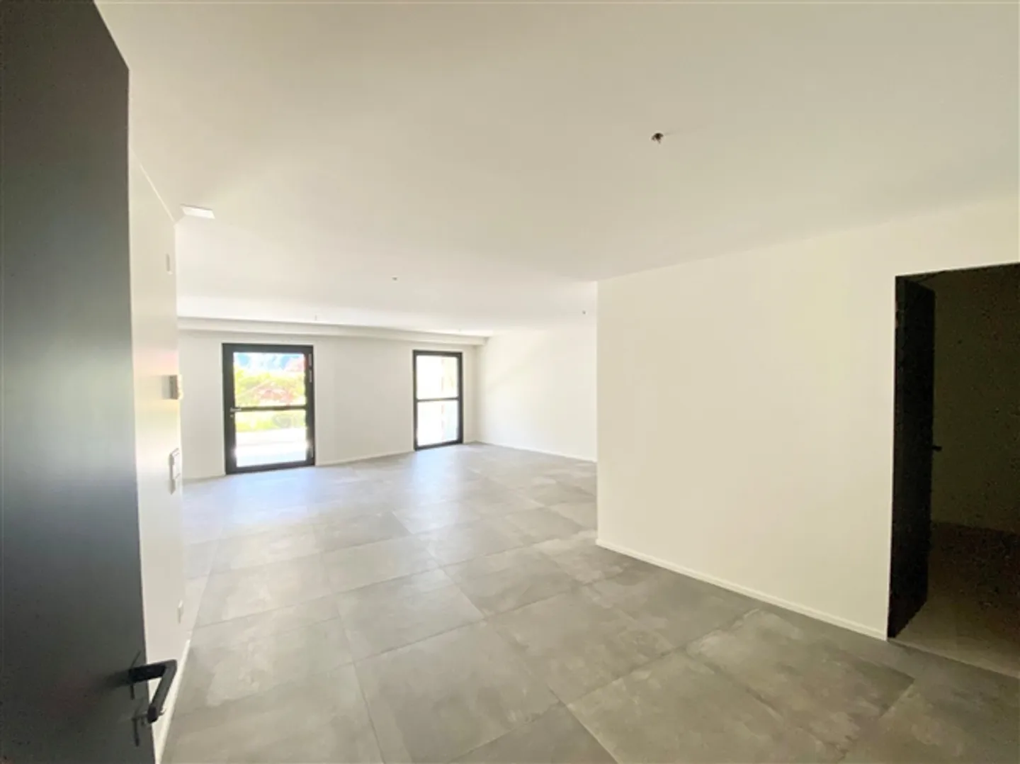 BEAUTIFUL SEMI-DETACHED APARTMENT IN LUGANO-CASTAGNOLA - Photo 5 of 7