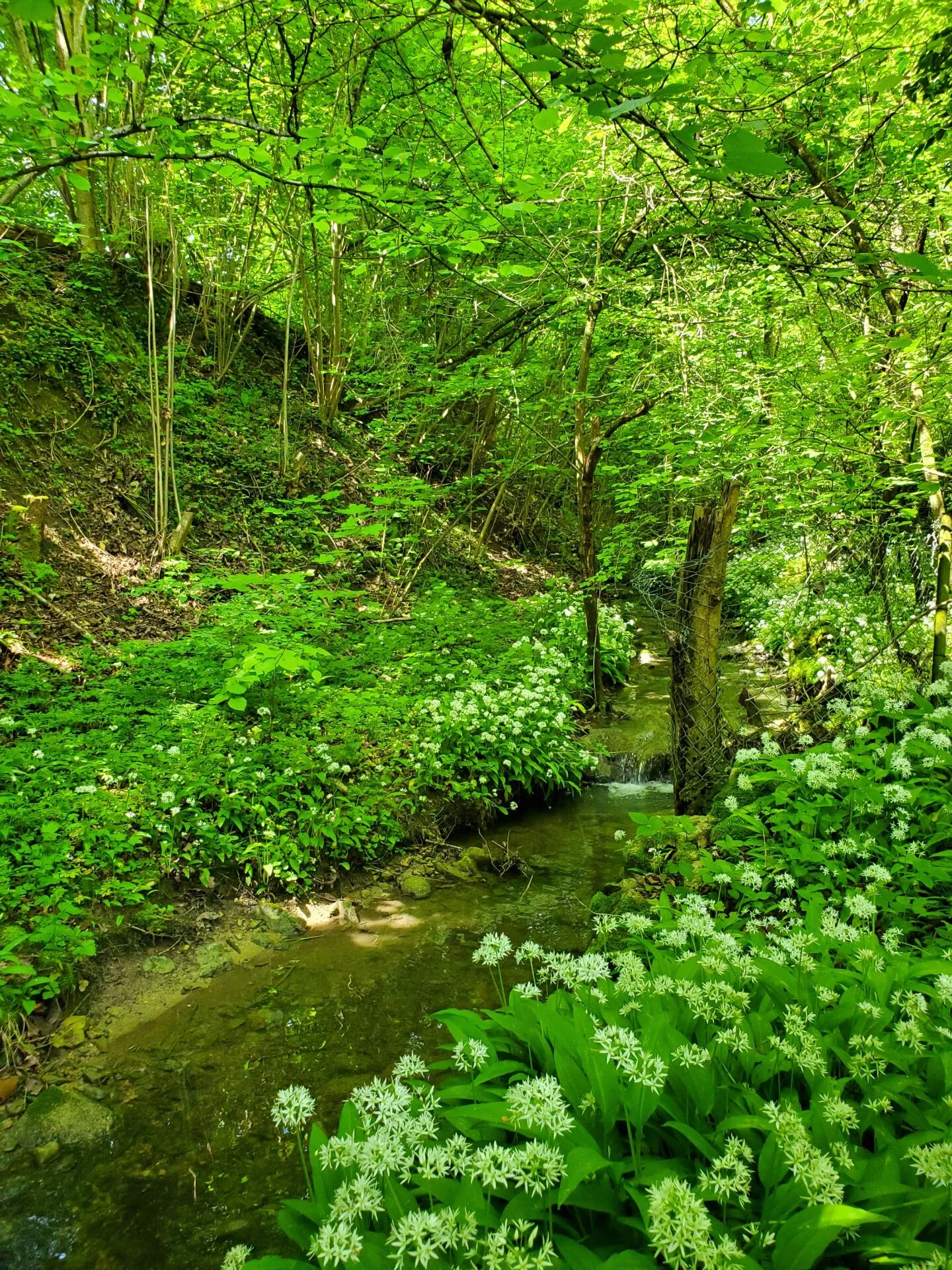 For Sale: Modern Detached 5.5 Family Home in Küttigen - Photo 5 of 15