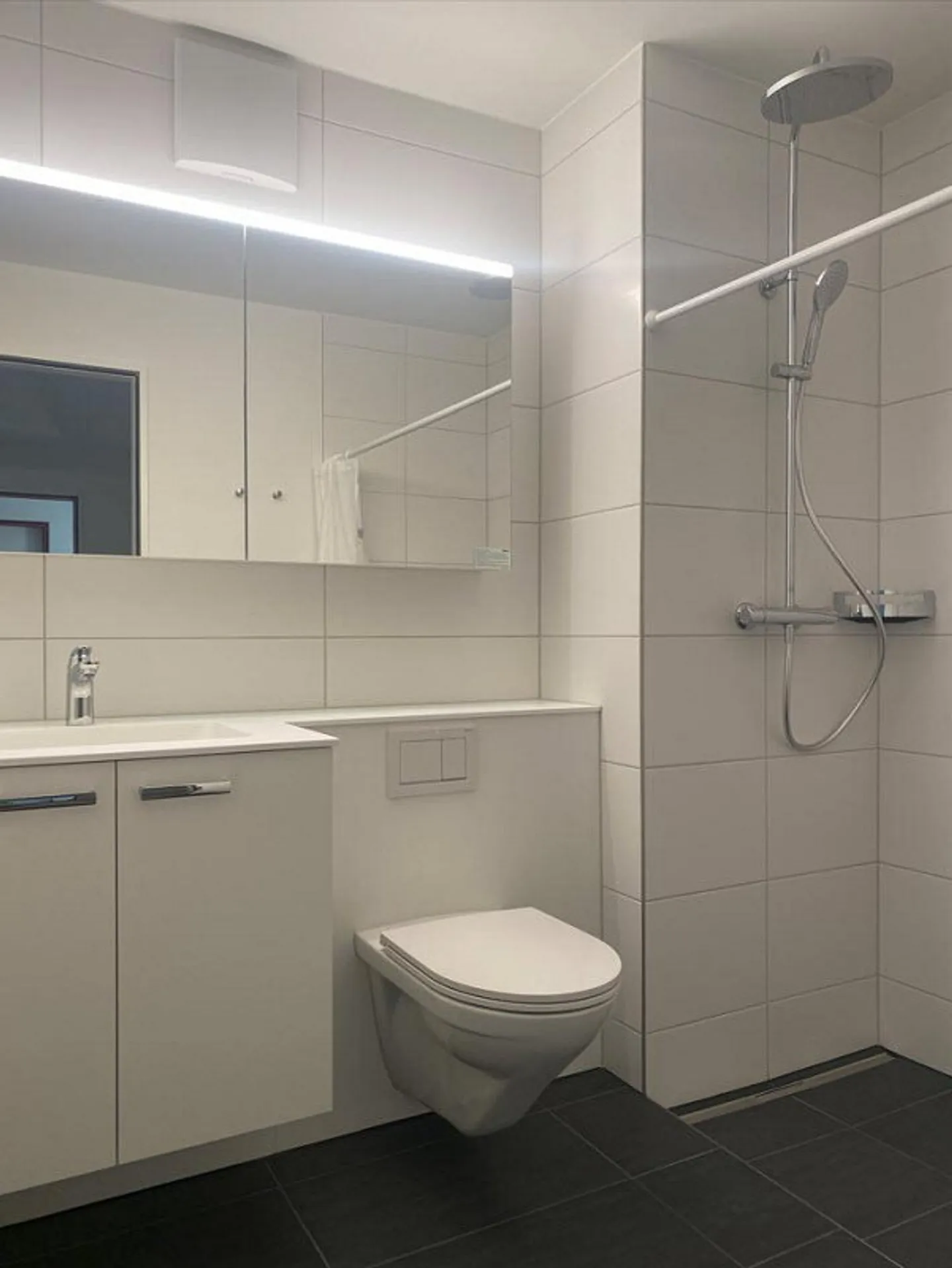 Appartement récemment rénové avec vue sur la verdure à louer - Photo 5 sur 6