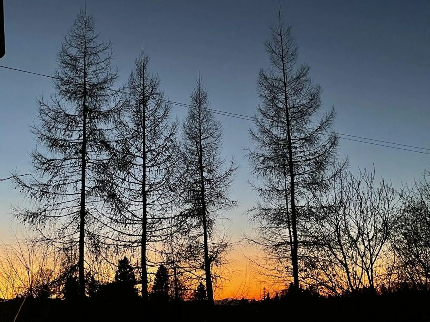 Ampia casa unifamiliare con giardino paradisiaco, sauna e laghetto - Foto 26 di 30