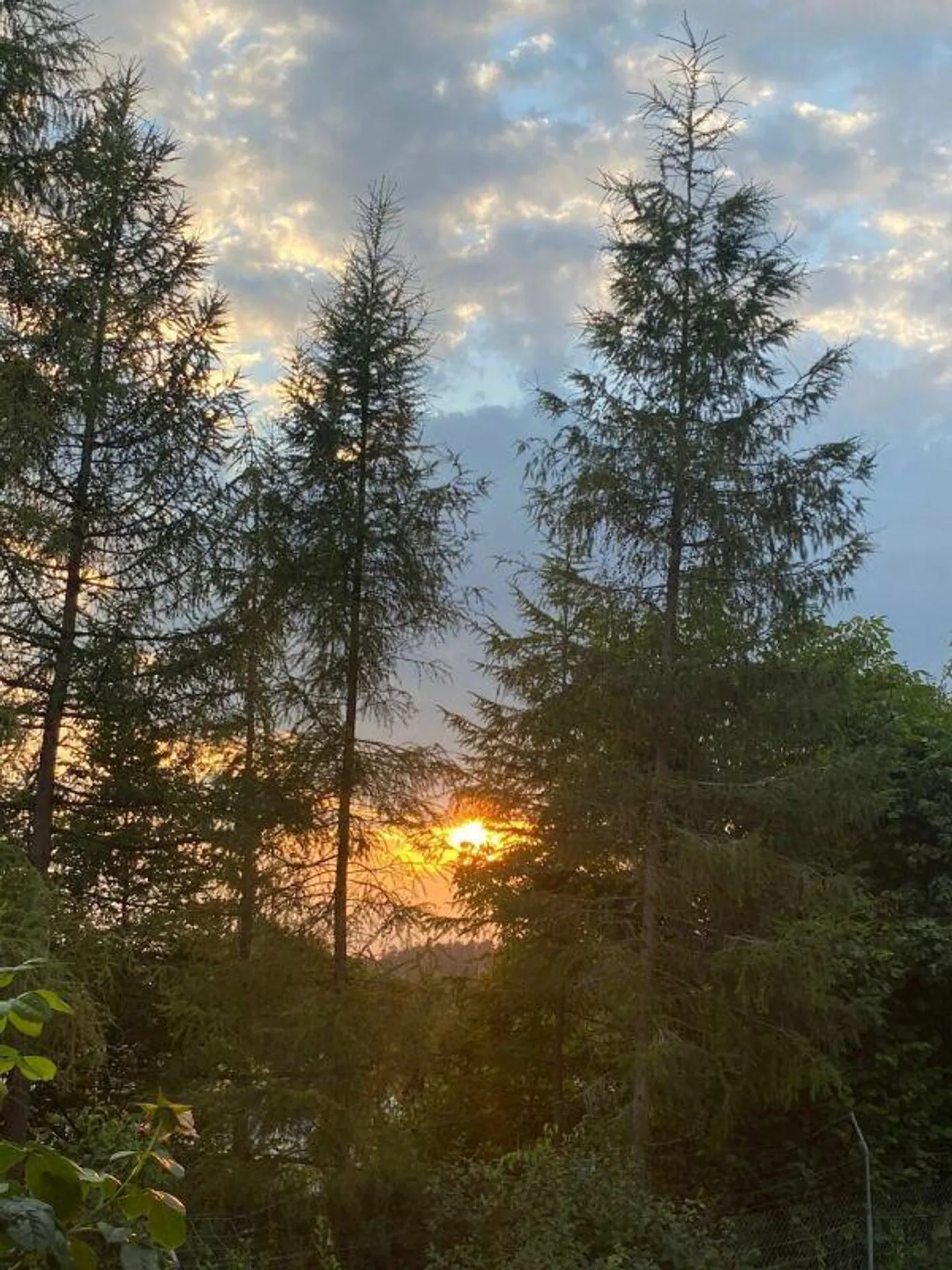 Ampia casa unifamiliare con giardino paradisiaco, sauna e laghetto - Foto 28 di 30