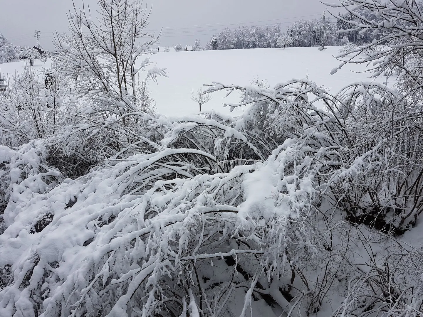 For Sale: Modern Detached 5.5 Family Home in Küttigen - Photo 13 of 15