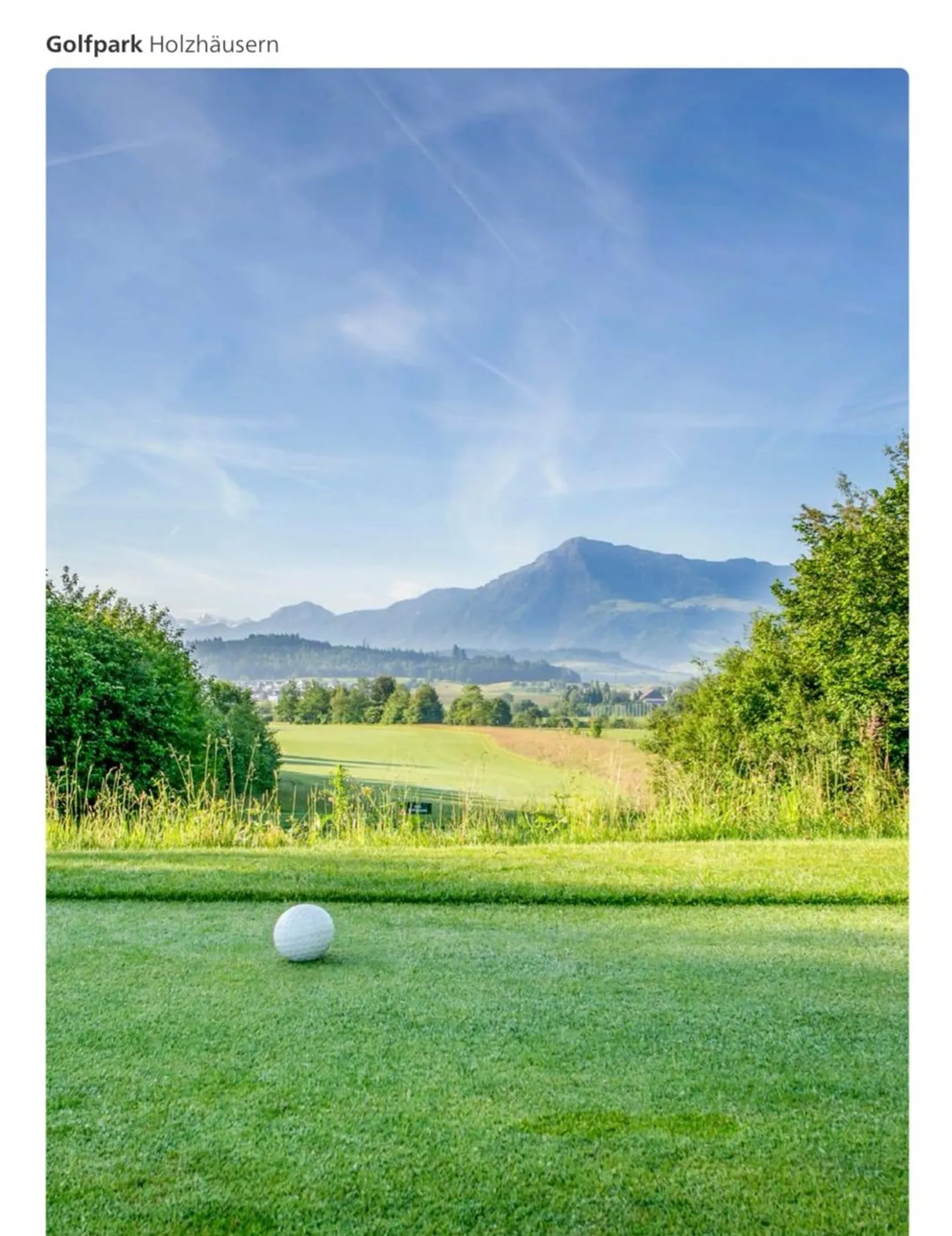 Mittelhaus an bevorzugter, ruhiger Lage - Foto 15 von 22