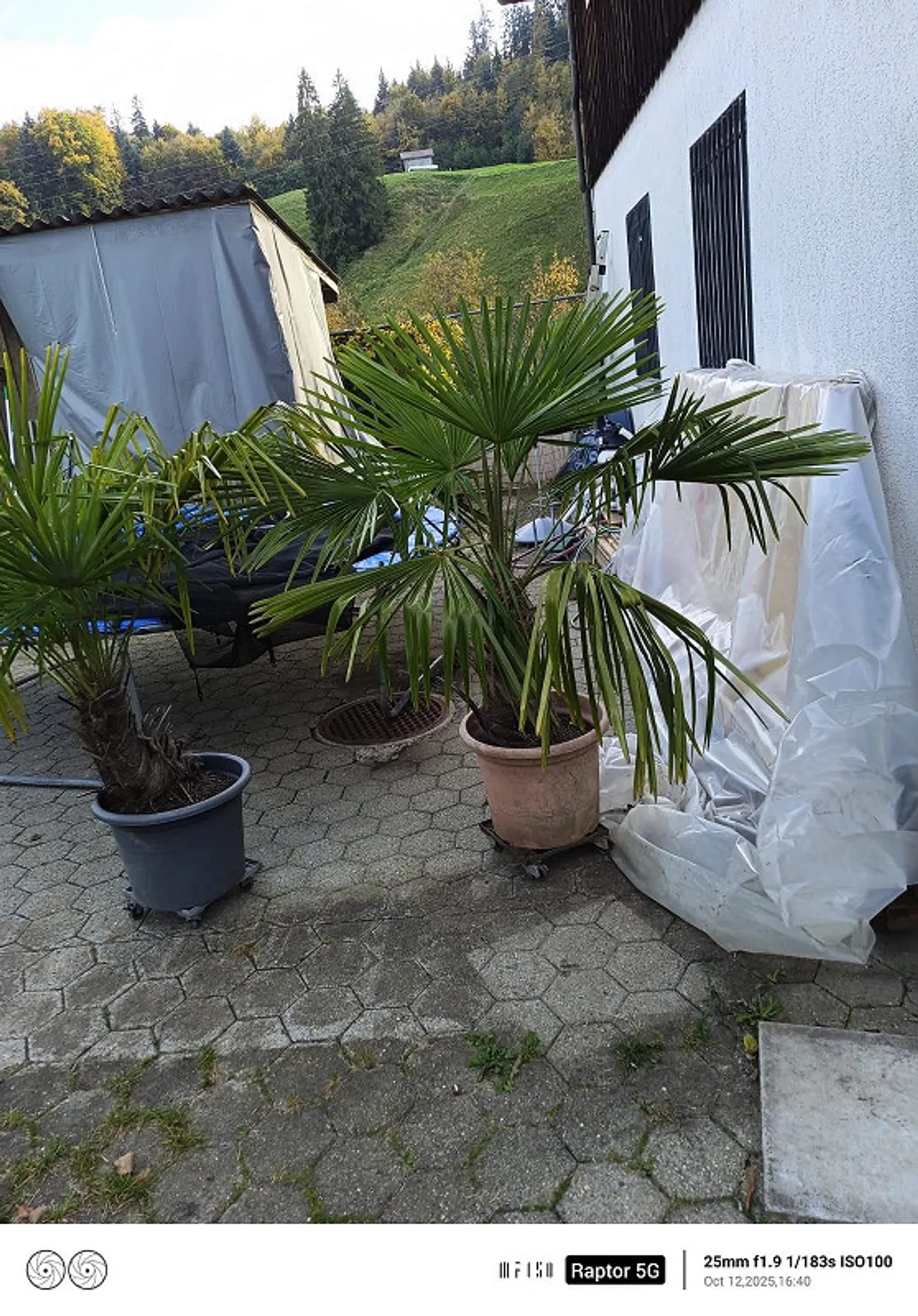 Idéal pour les artisans - familles - jardiniers amateurs... VISITEZ MAINTENANT ! - Photo 10 sur 13