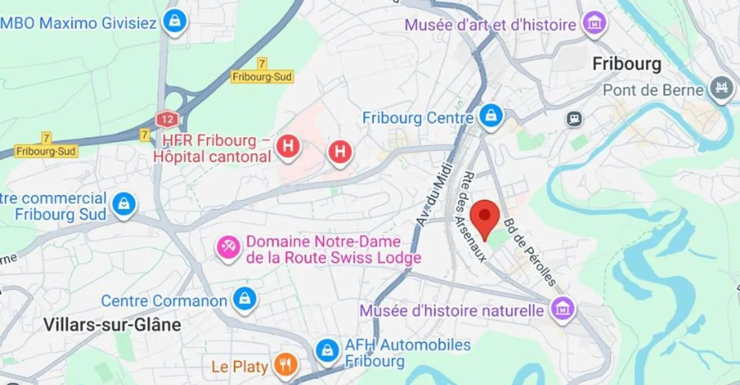 FRIBOURG, VIVRE LA VILLE, FACE À LA VERDURE - Foto 2 von 11