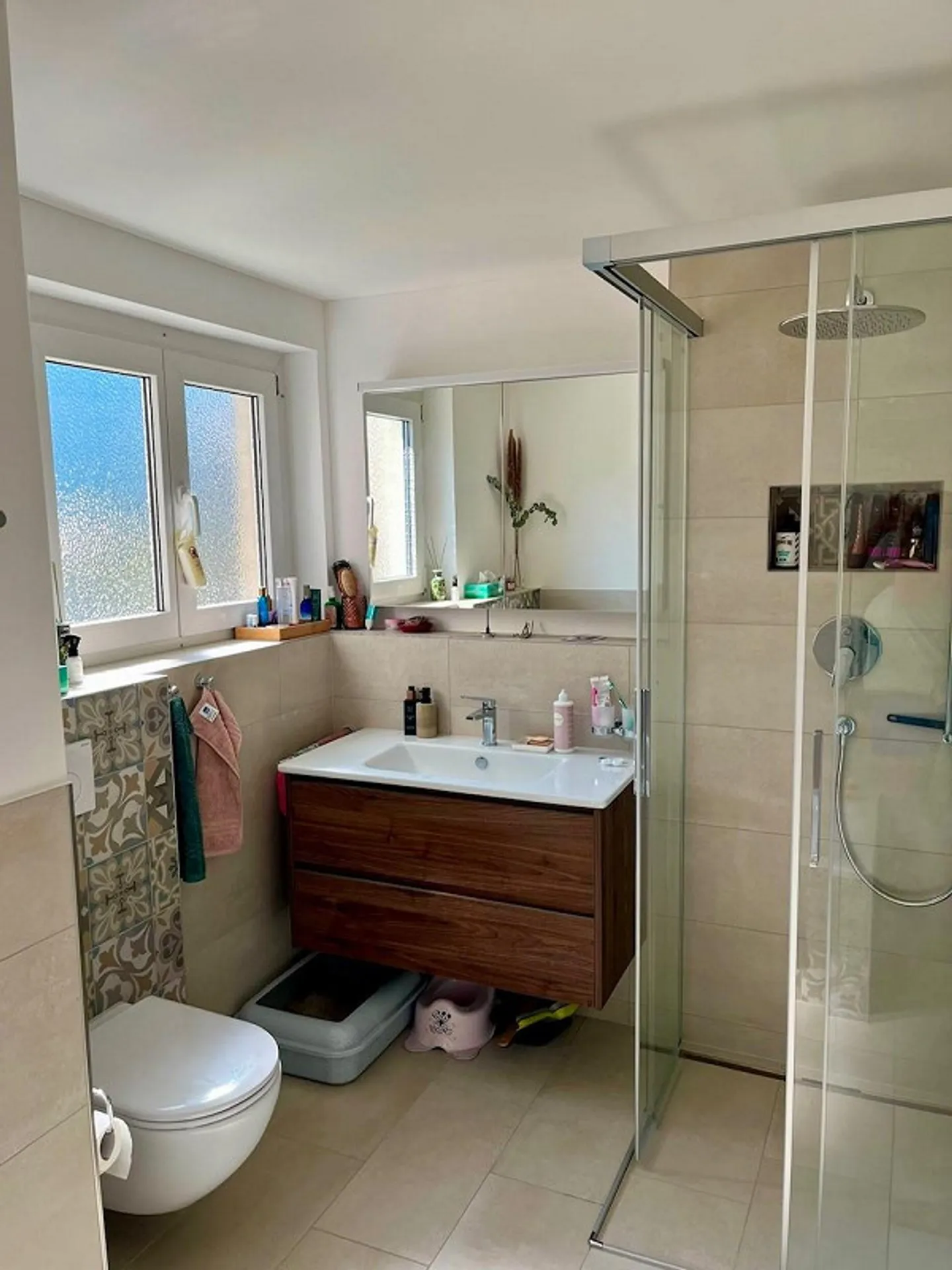Appartamento ristrutturato di 4,5 locali con area giardino a Savognin - Foto 3 di 9