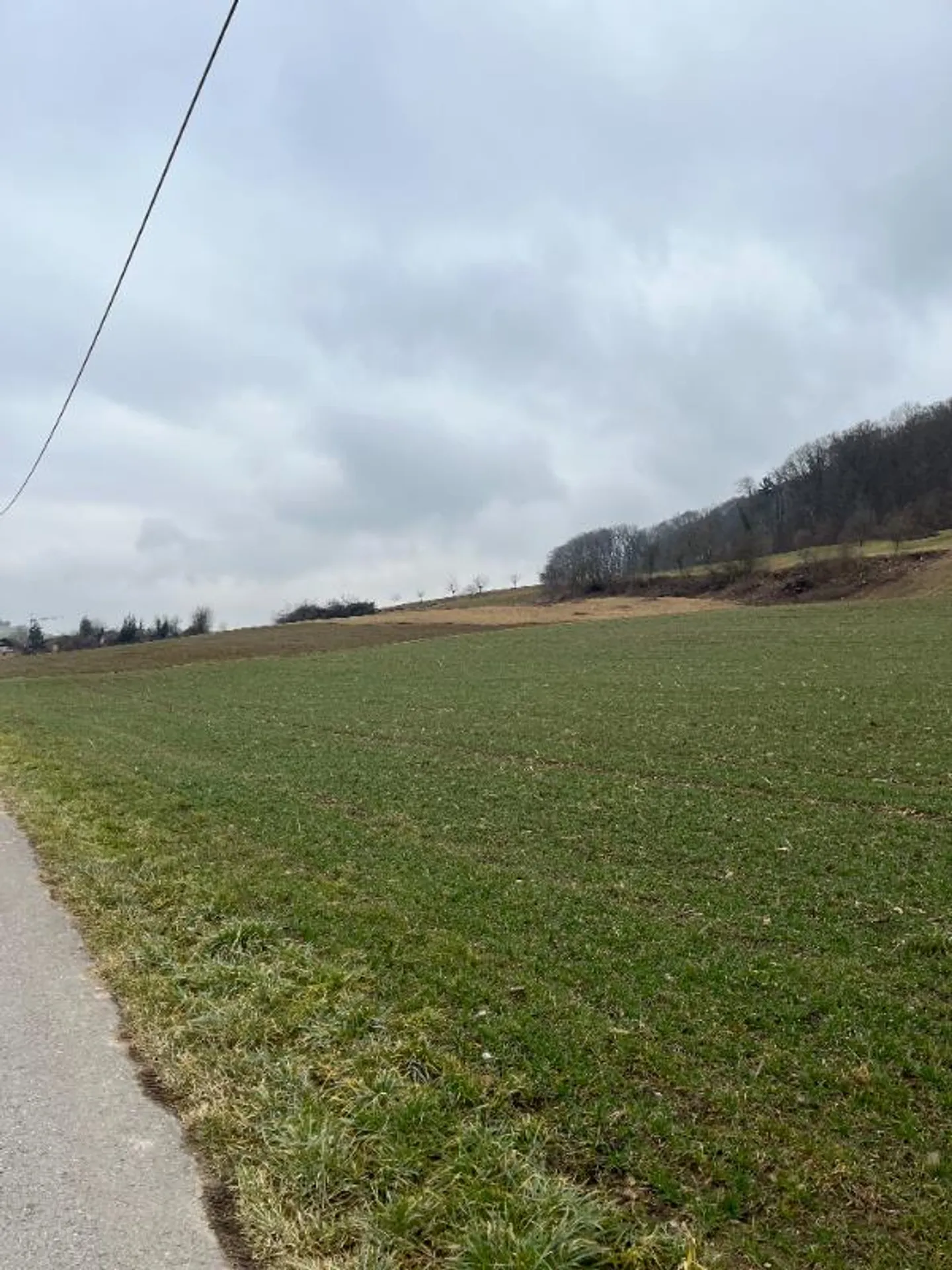 Appartamento 2,5 stanze - Foto 1 di 5