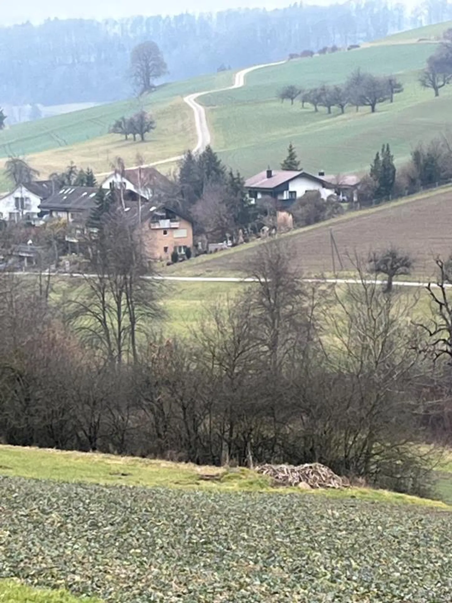 Appartamento 2,5 stanze - Foto 5 di 5