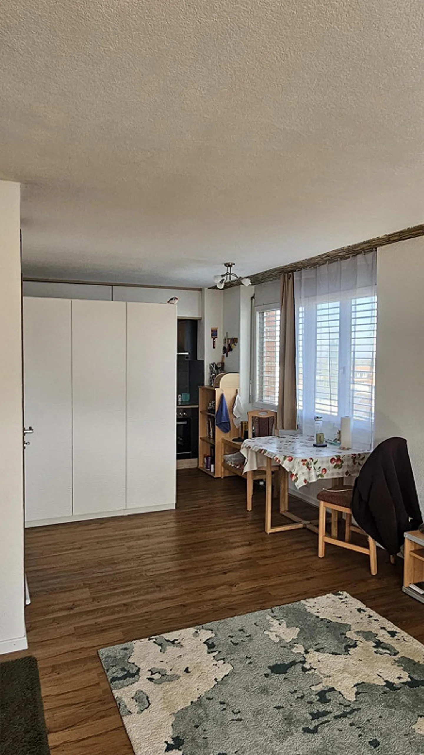 Appartement 1,5 pièces avec jardin d'hiver et vue magnifique - Photo 6 sur 11