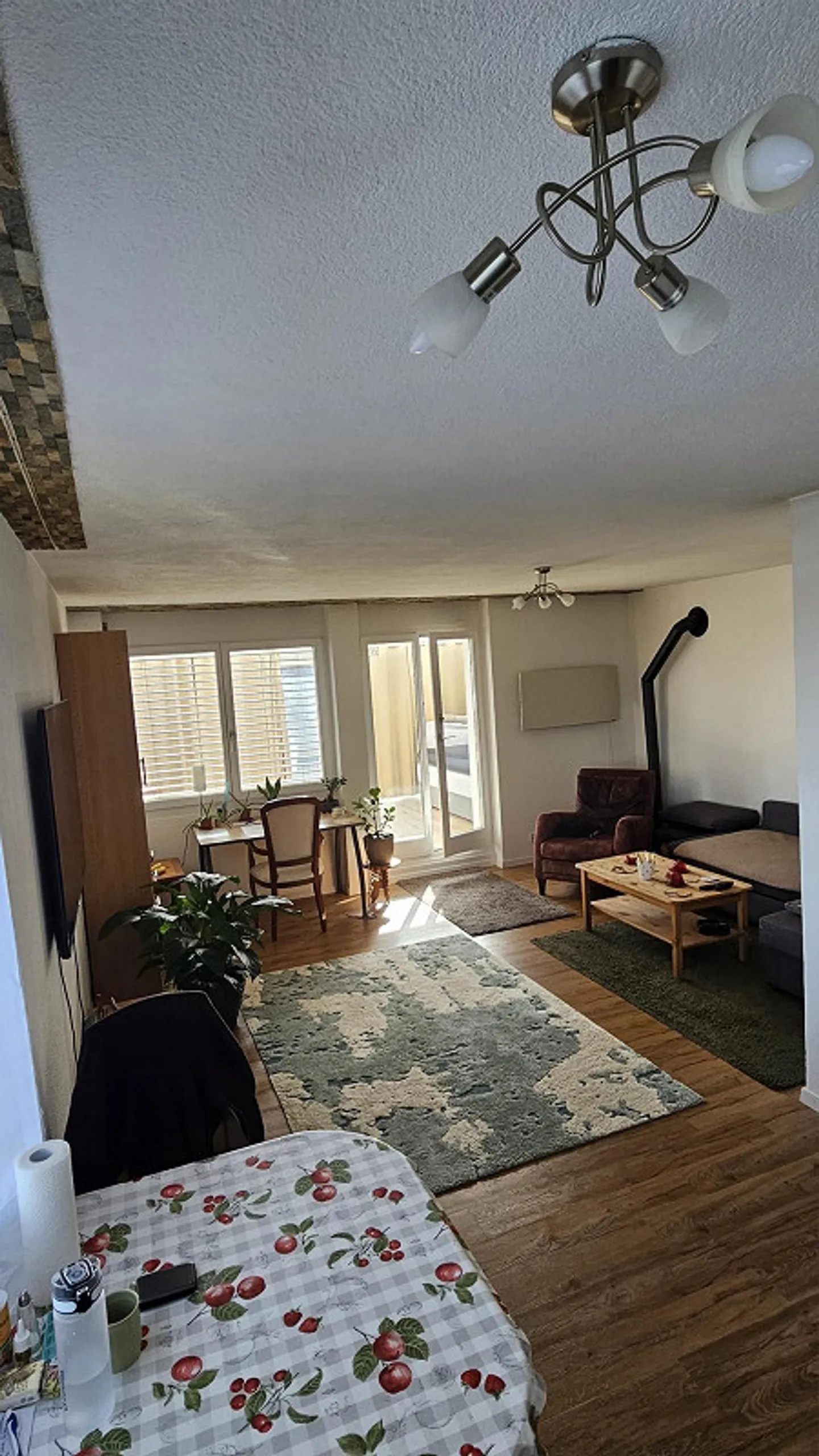 Appartement 1,5 pièces avec jardin d'hiver et vue magnifique - Photo 7 sur 11