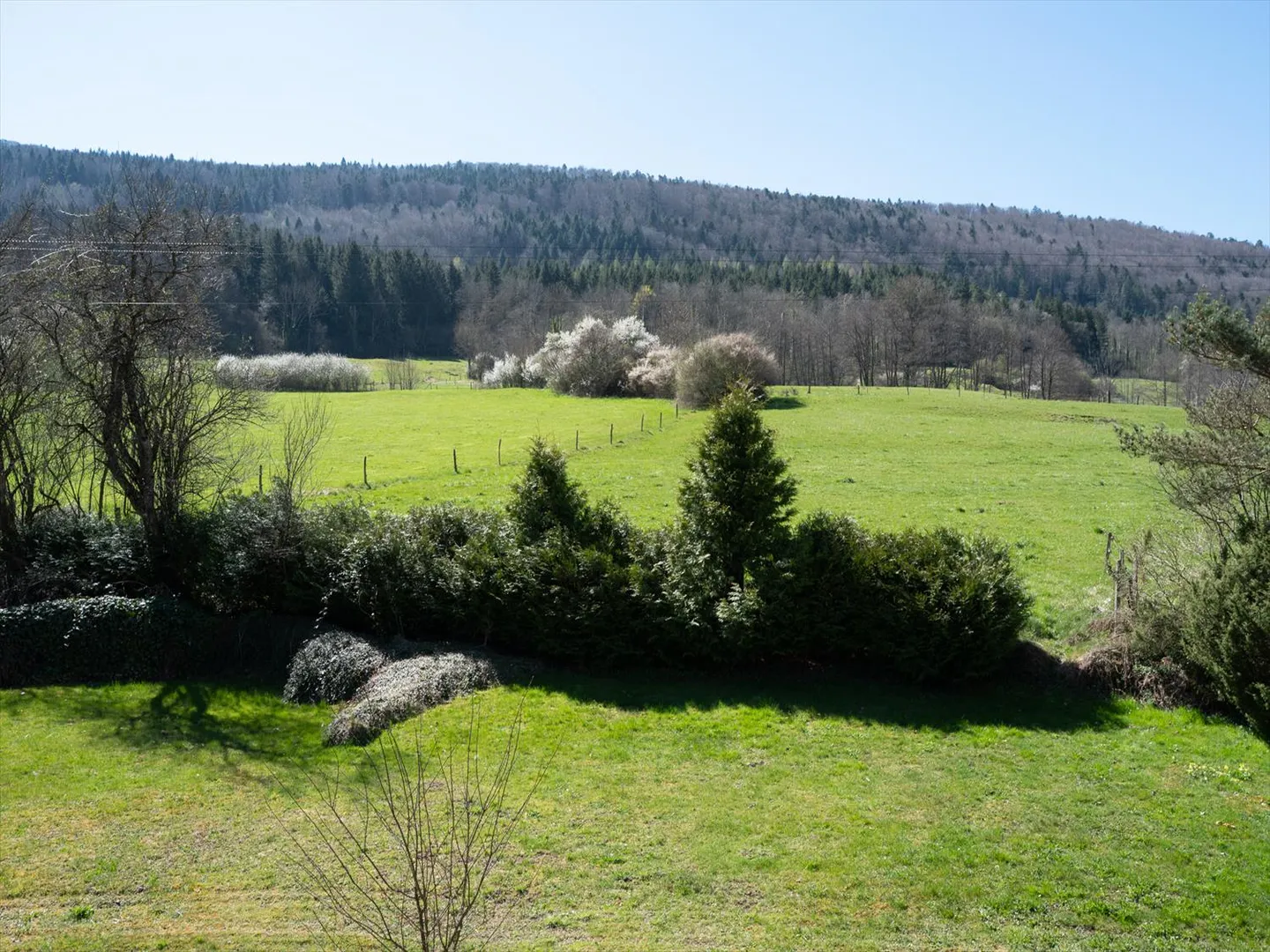 Einfamilienhaus kaufen - Foto 16 von 17