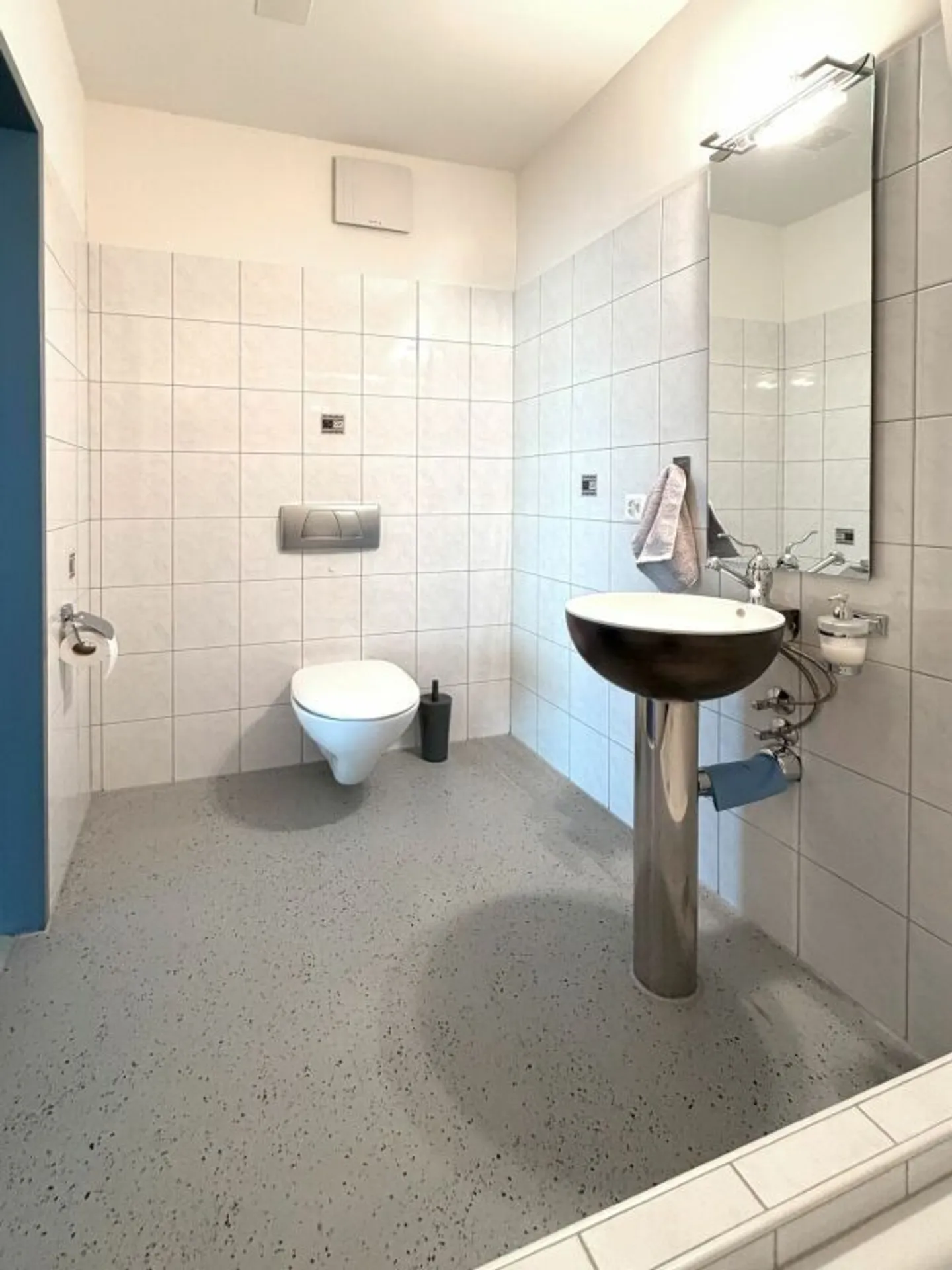 Living Oasis in the Center of Wohlen - Photo 6 of 8