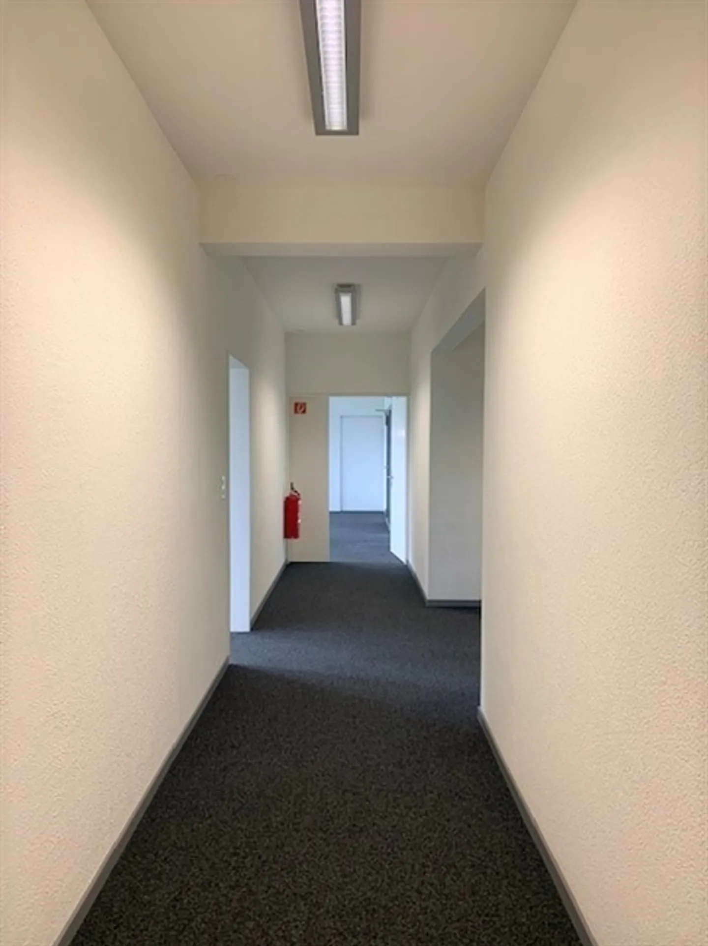 Ampie superfici per uffici a Oberwil - Foto 6 di 10