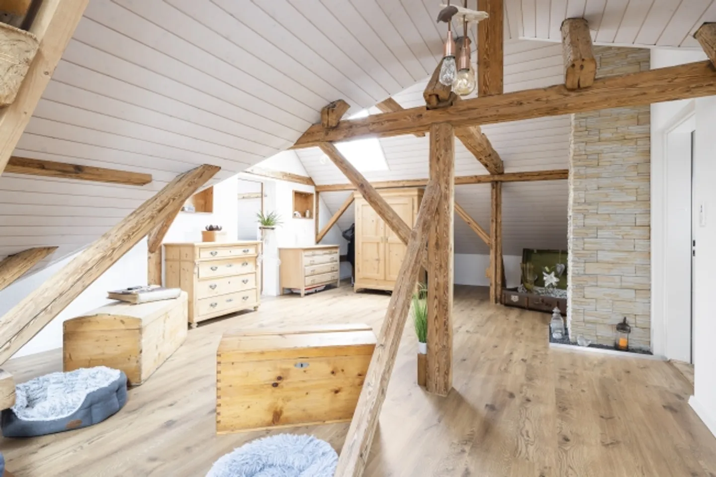 Space miracle with garden and diverse possibilities - Photo 7 of 14