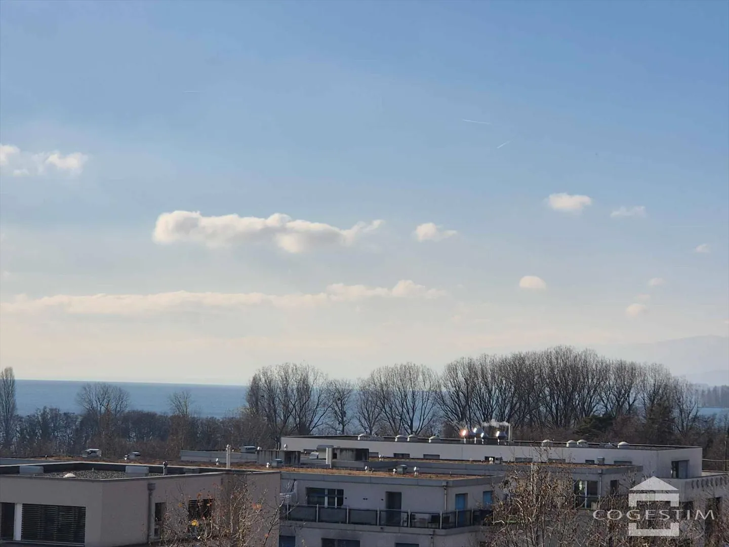 3.5 Room Apartment - Photo 12 of 13