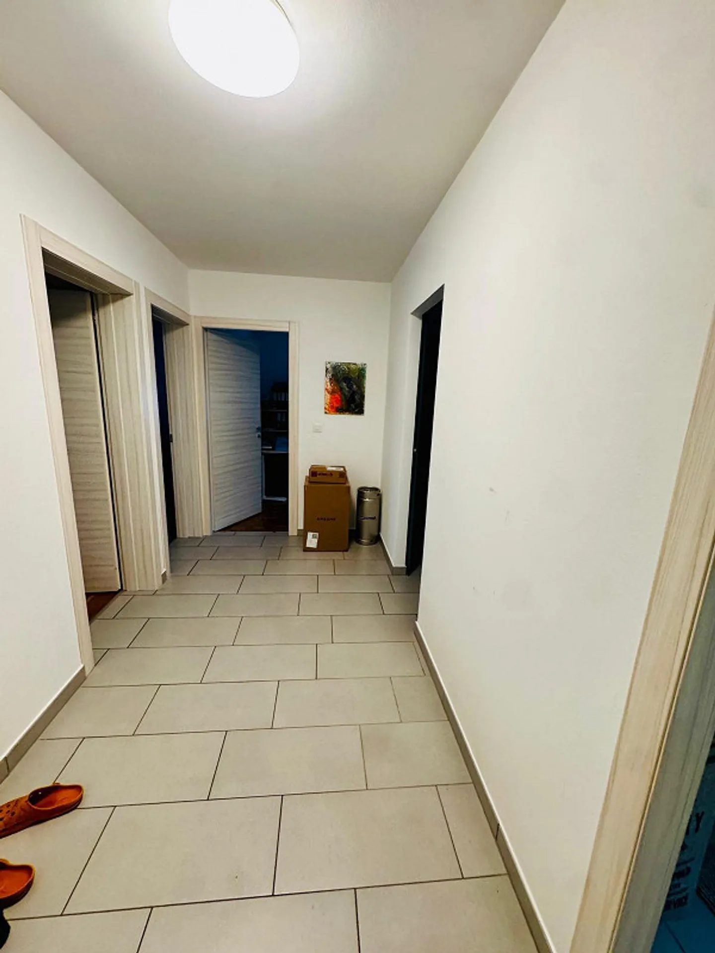 Appartamento Incantevole a Sorengo - Foto 4 di 7