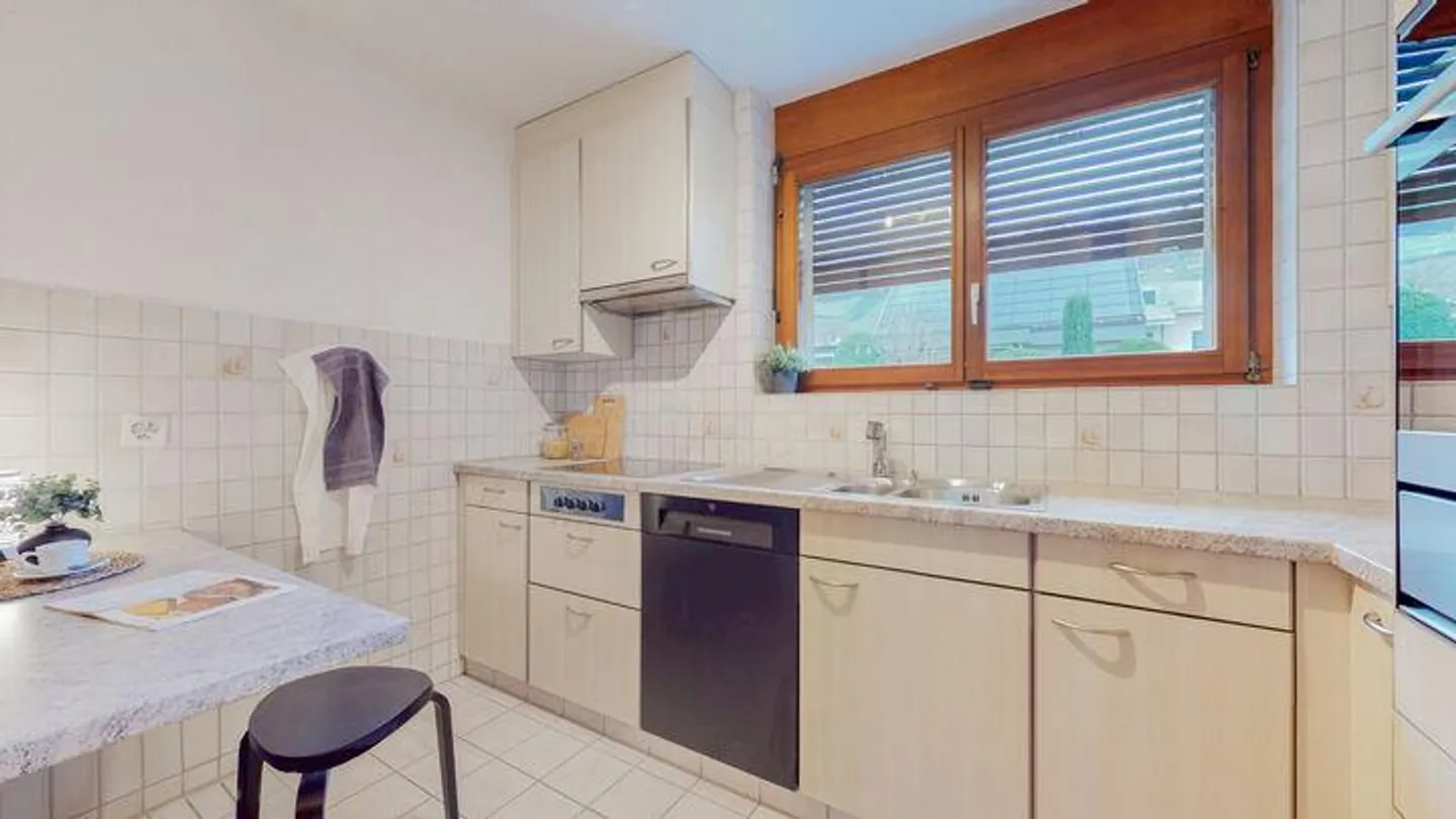 SPACIOUS CONDOMINIUM IN ATTRACTIVE WETTINGEN - Photo 3 of 8