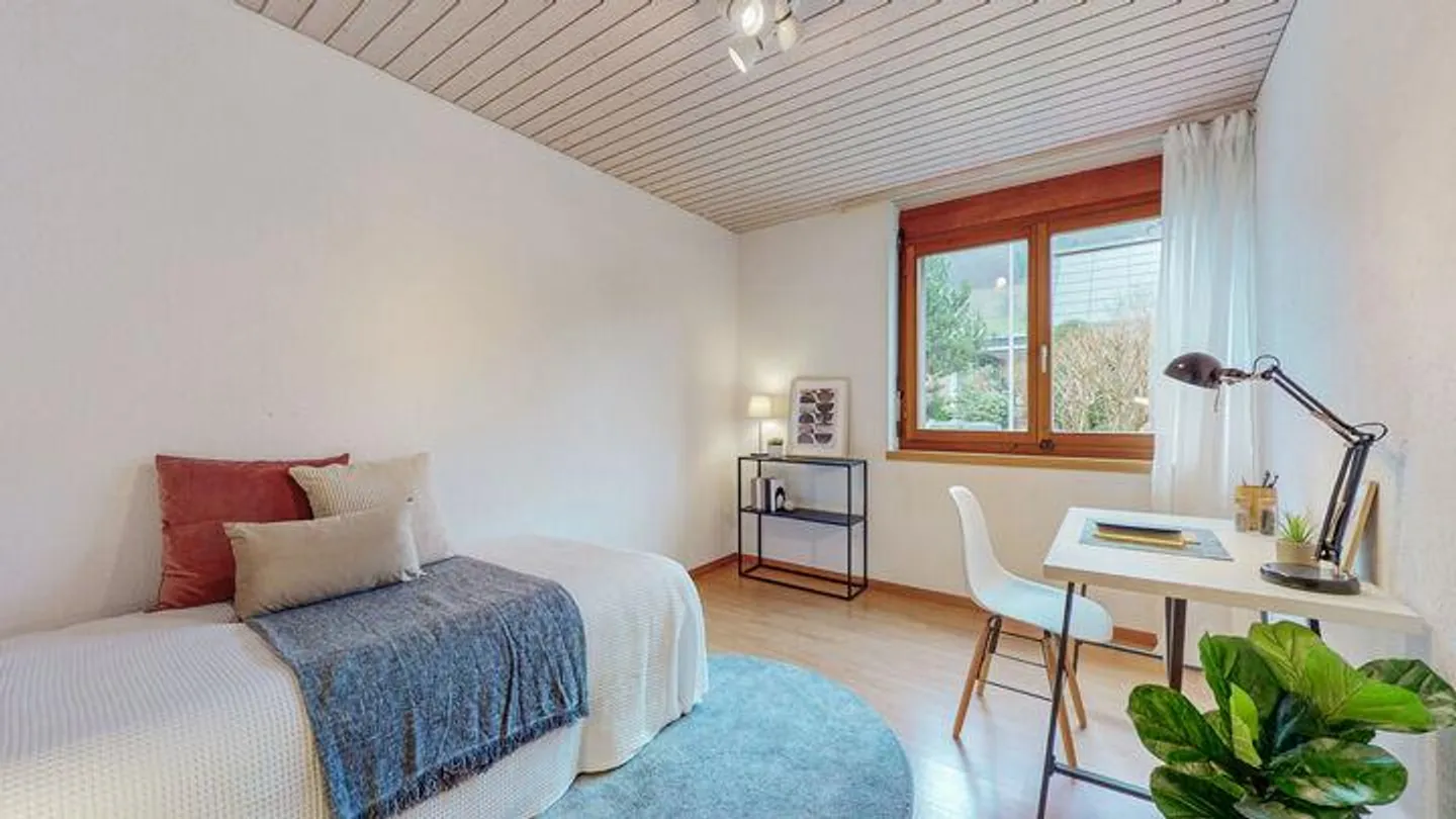 SPACIOUS CONDOMINIUM IN ATTRACTIVE WETTINGEN - Photo 5 of 8