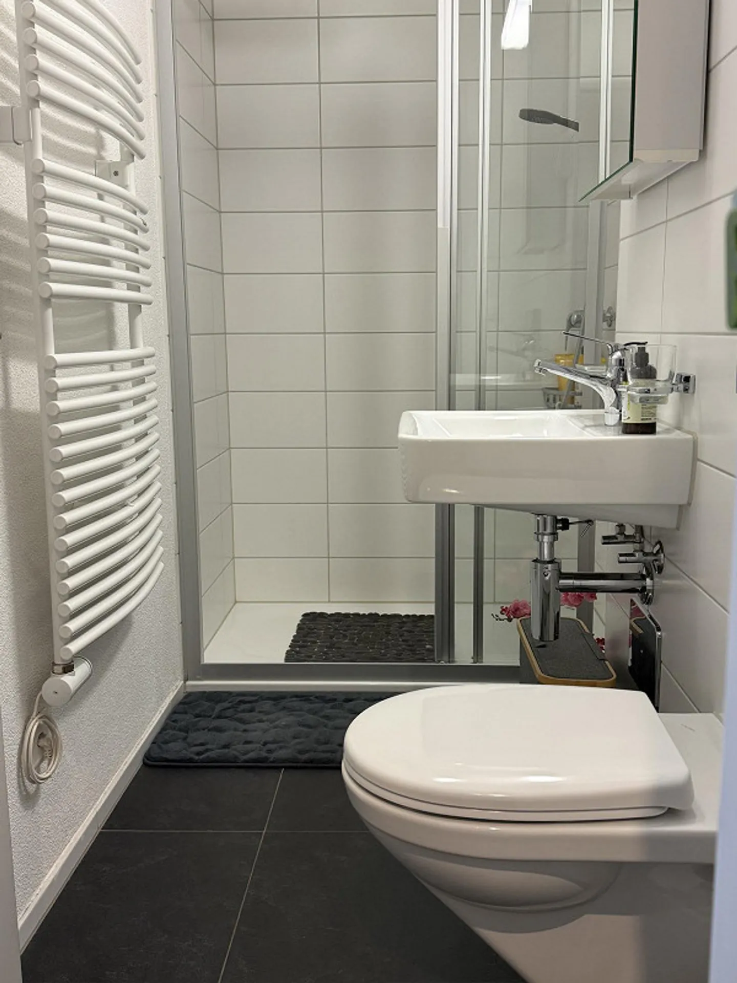 Appartement de 4,5 pièces au bord du lac dans un standard de propriété - Photo 4 sur 14