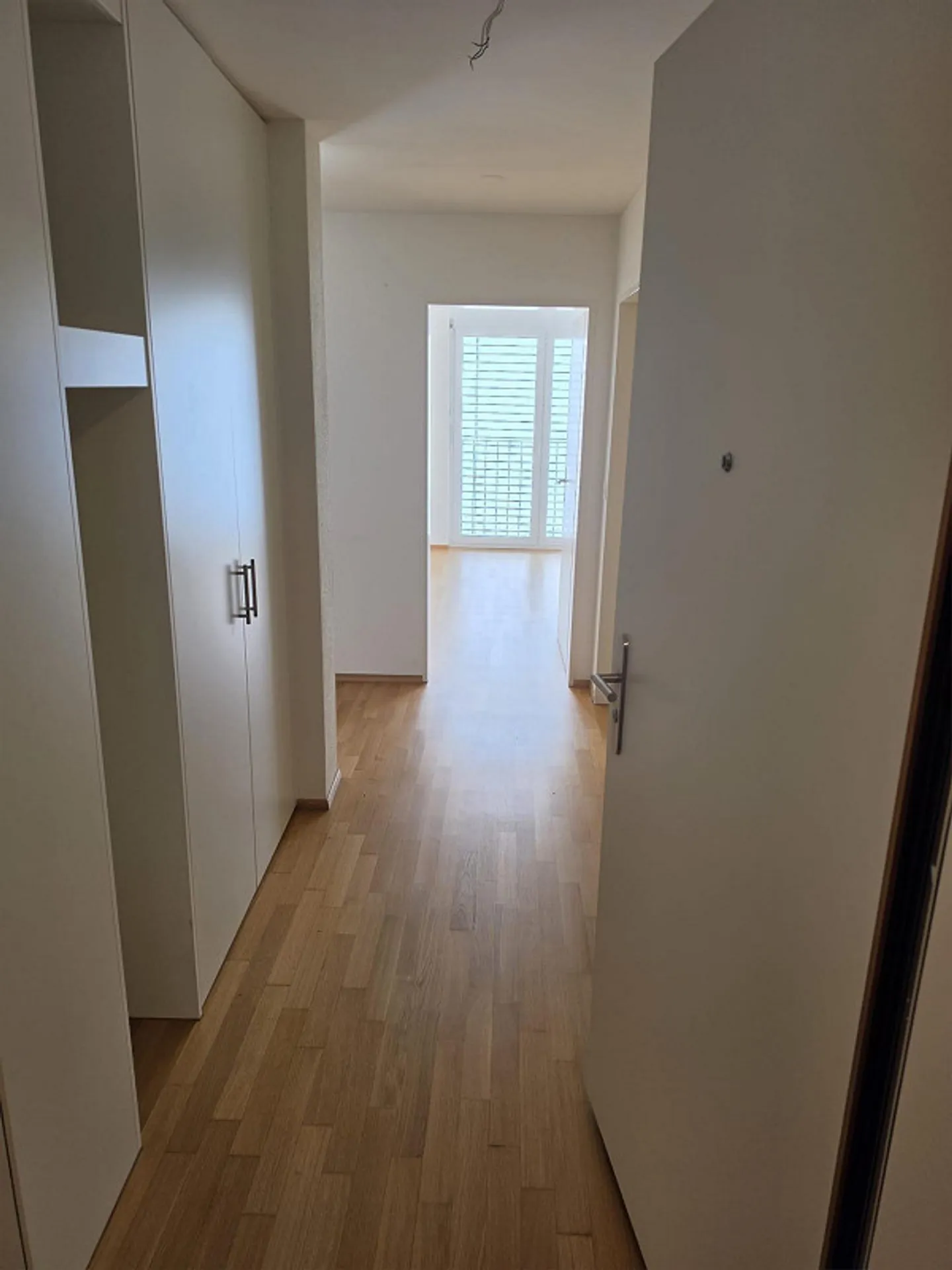 Cozy but centrally located living - Photo 2 of 10