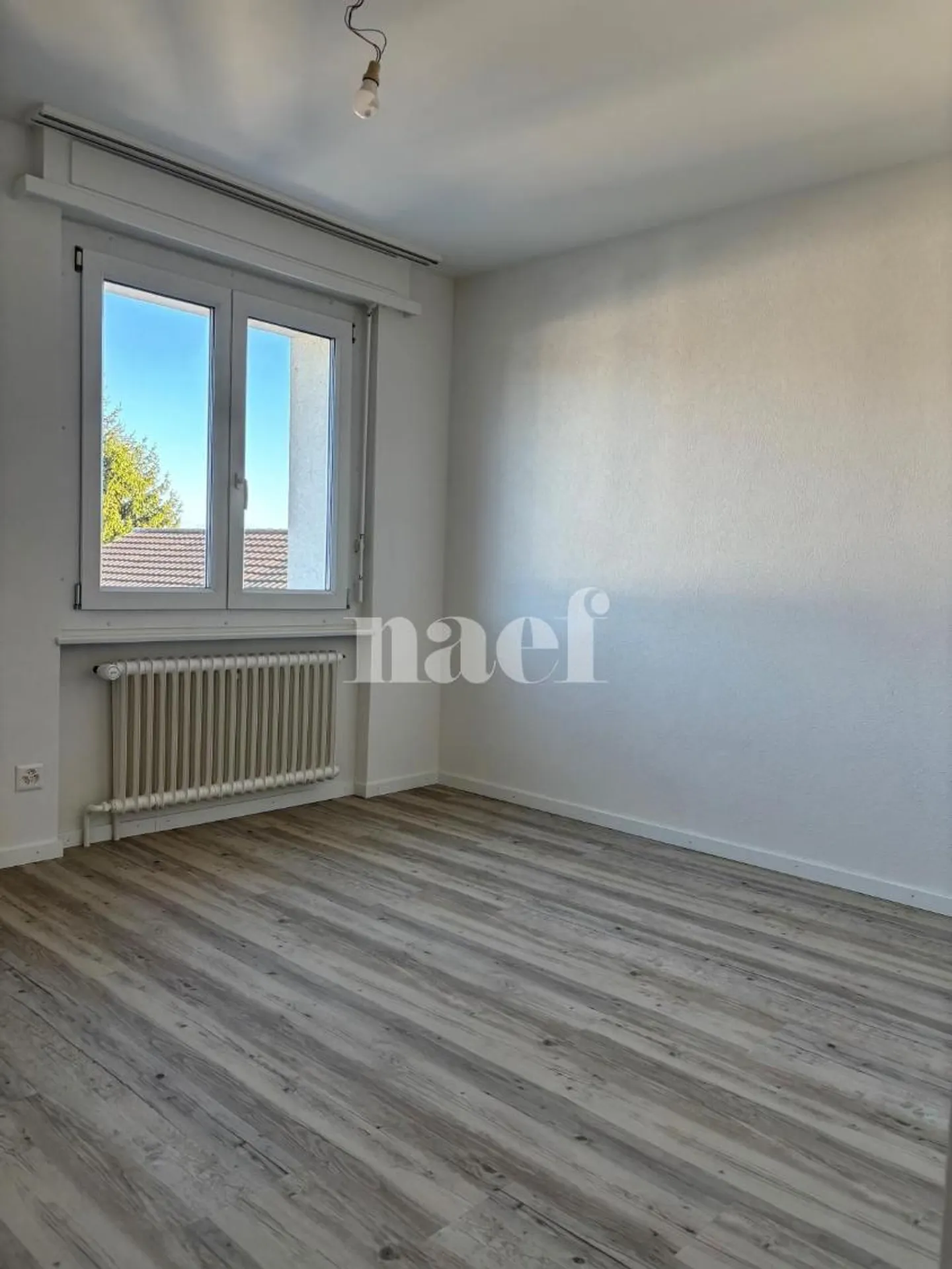 5-Zimmer-Wohnung - Foto 8 von 12