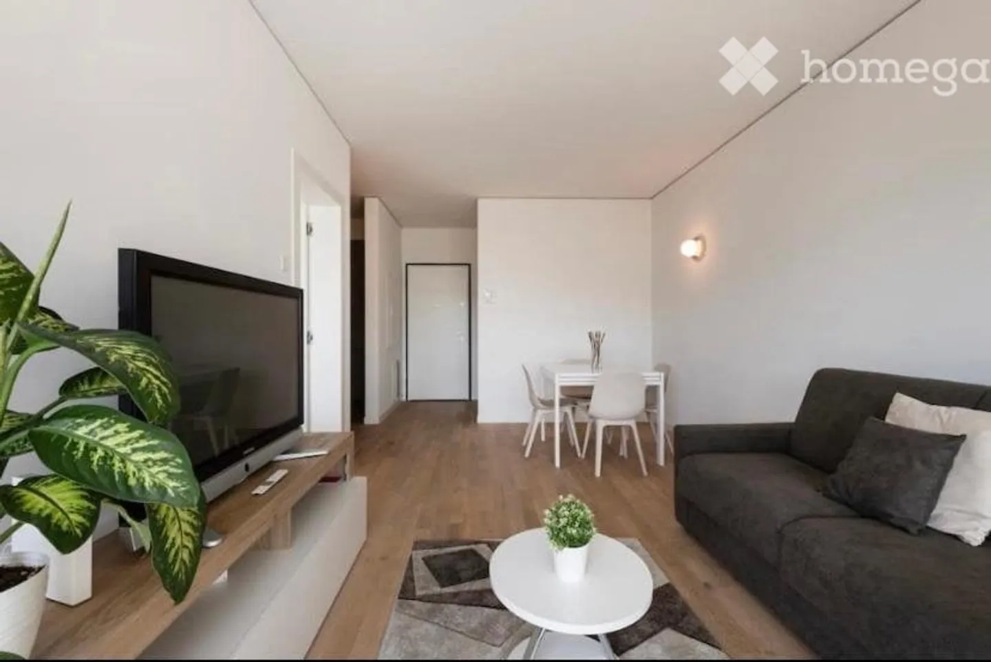 Modern 2.5-room apartment furnished in Lugano - Photo 3 of 13