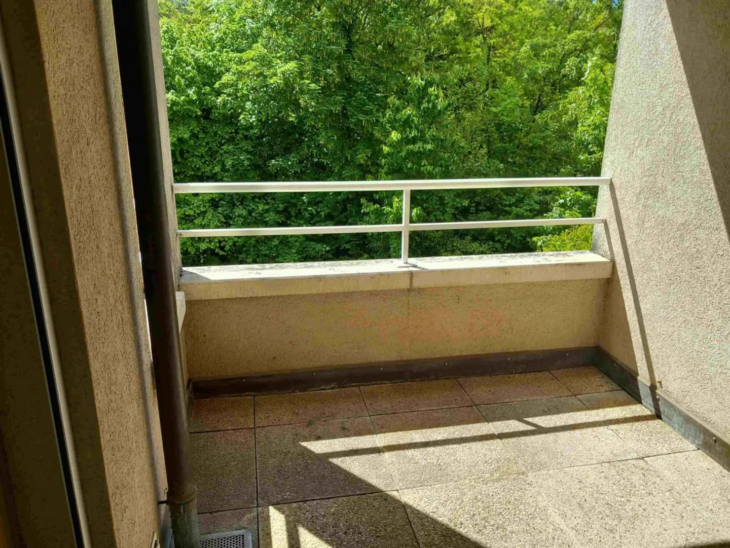 Ch. des Tines 19. Wohnung 4,5 Zimmer - Foto 4 von 8