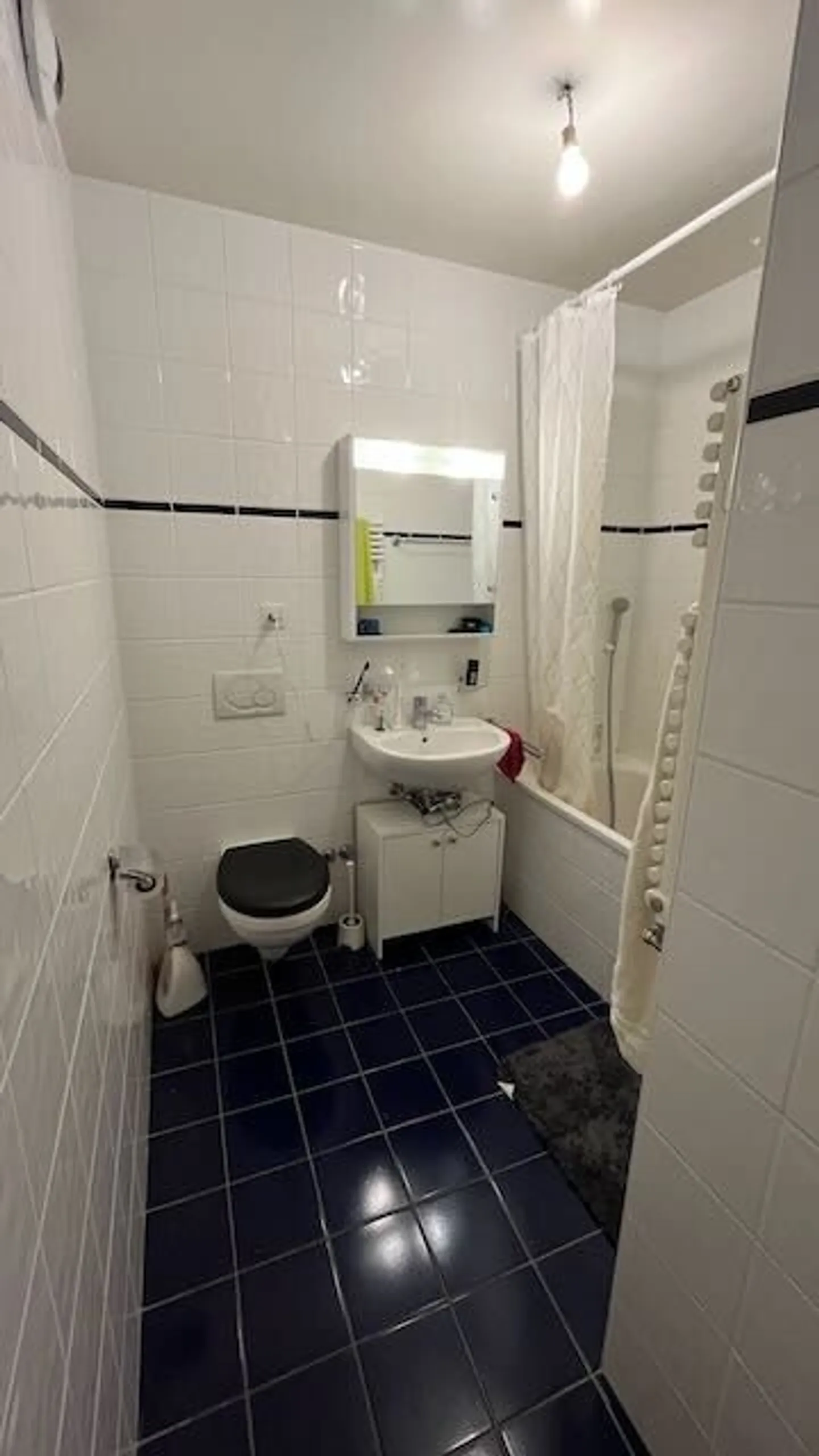 Molto grande appartamento 3.5 a 50m dal Lago e dai Bagni di Pâquis - Foto 5 di 5