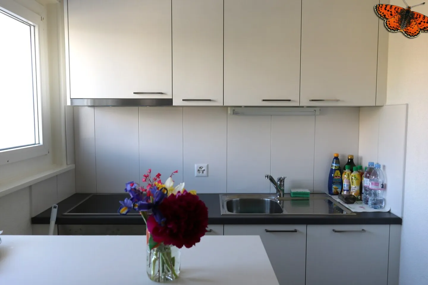 Charming Studio Near Amenities - Photo 3 of 6