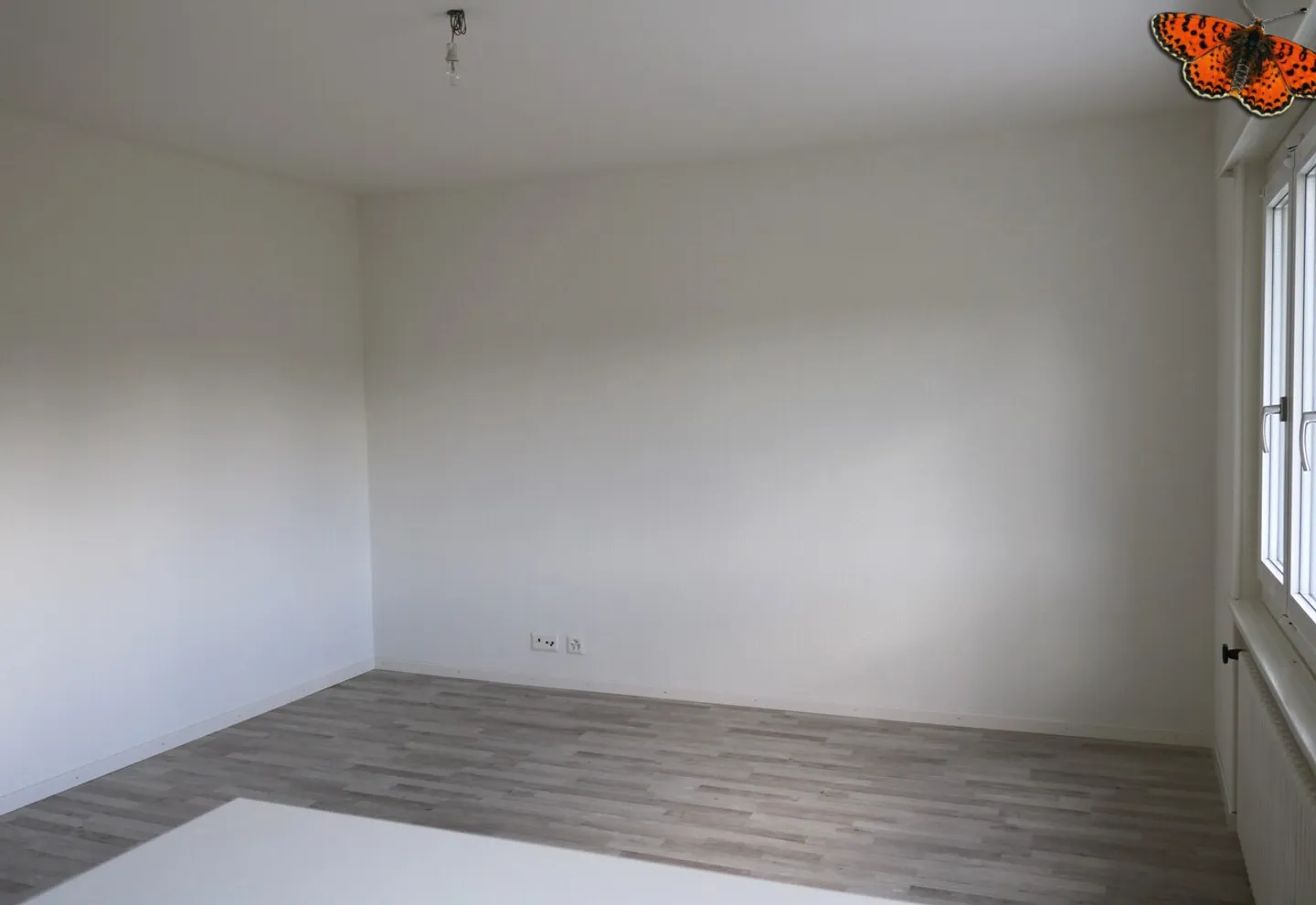 Charming Studio Near Amenities - Photo 4 of 6