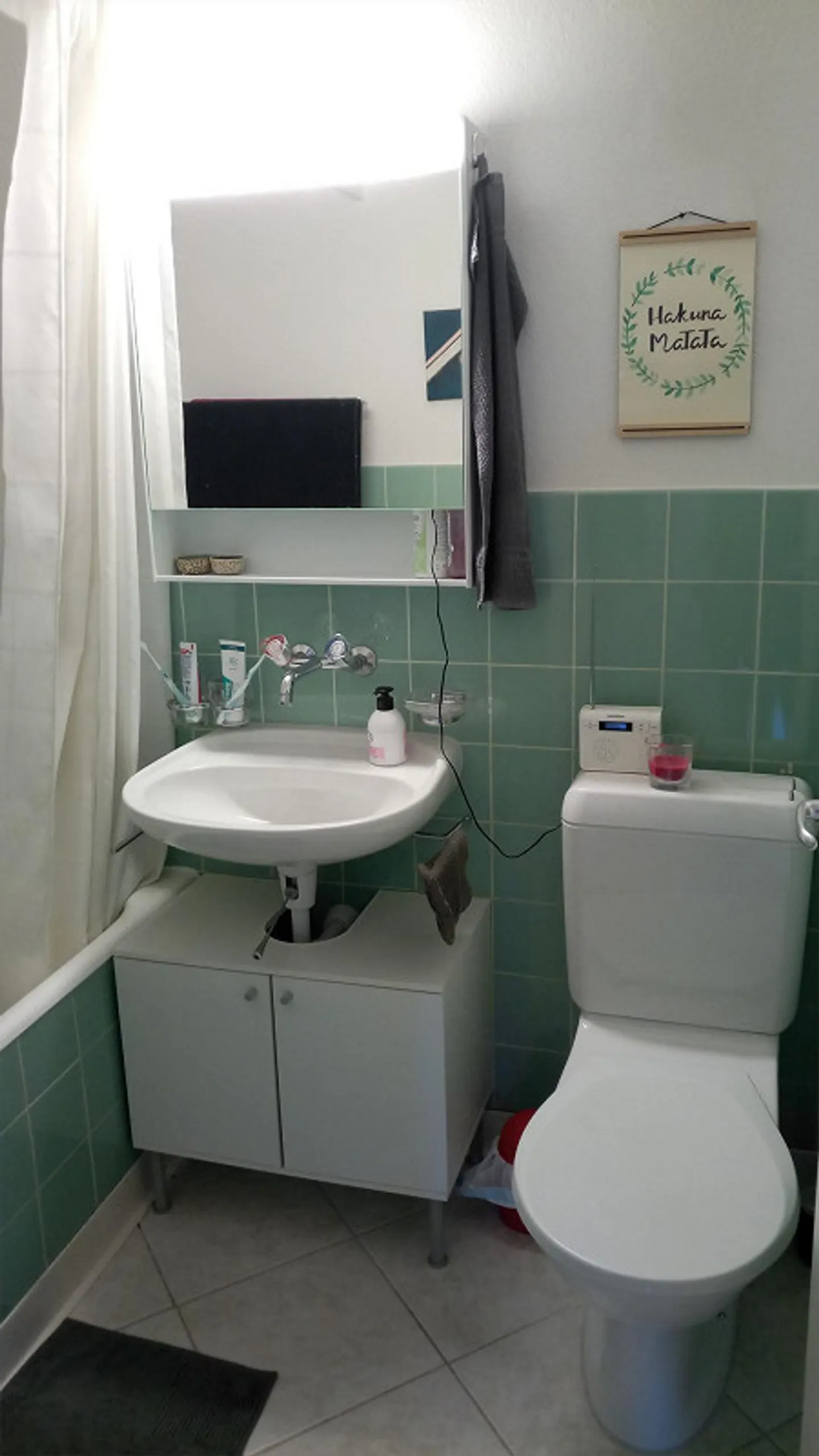 Bright Room in Student Shared Flat: 15' from Bern Train Station - Photo 8 of 8