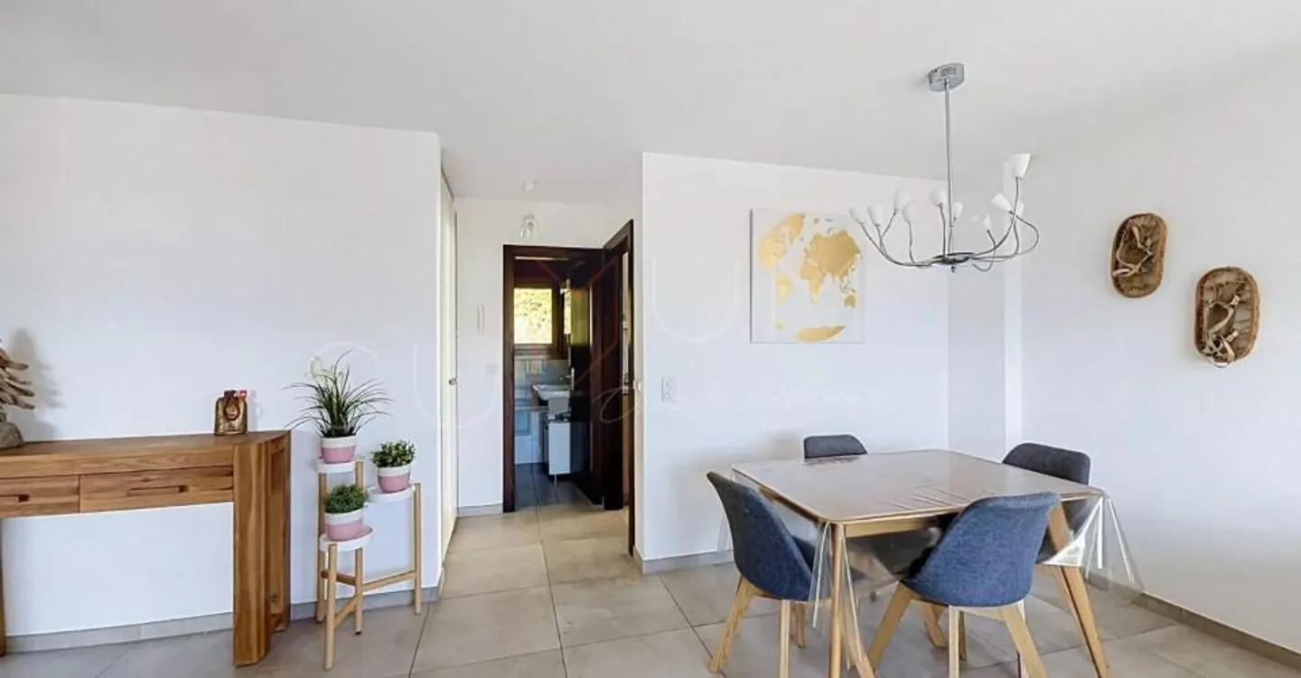 Appartement rénové avec jardin - Photo 3 sur 12