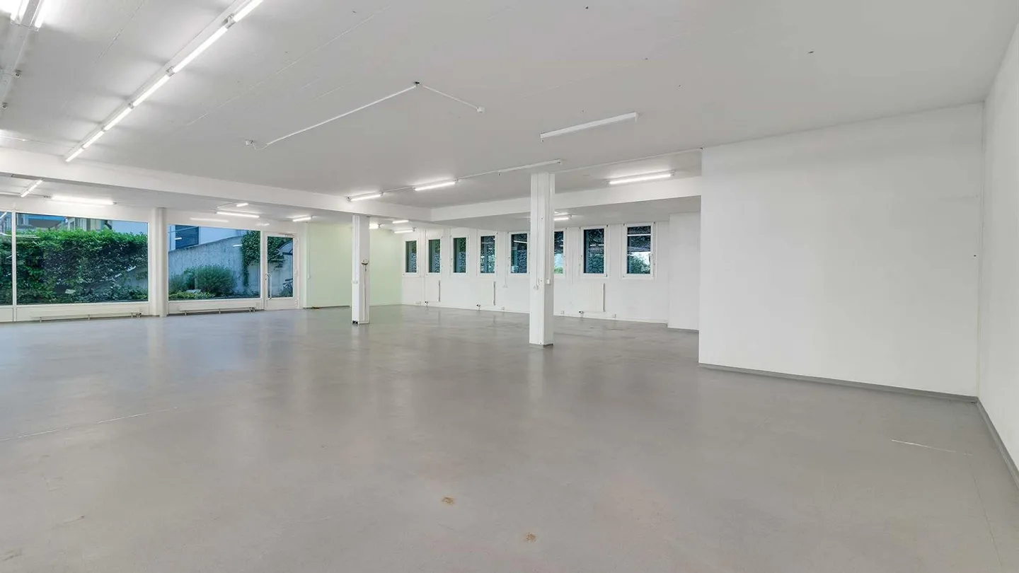 Vielseitige Gewerbefläche in Schaffhausen - Foto 2 von 19