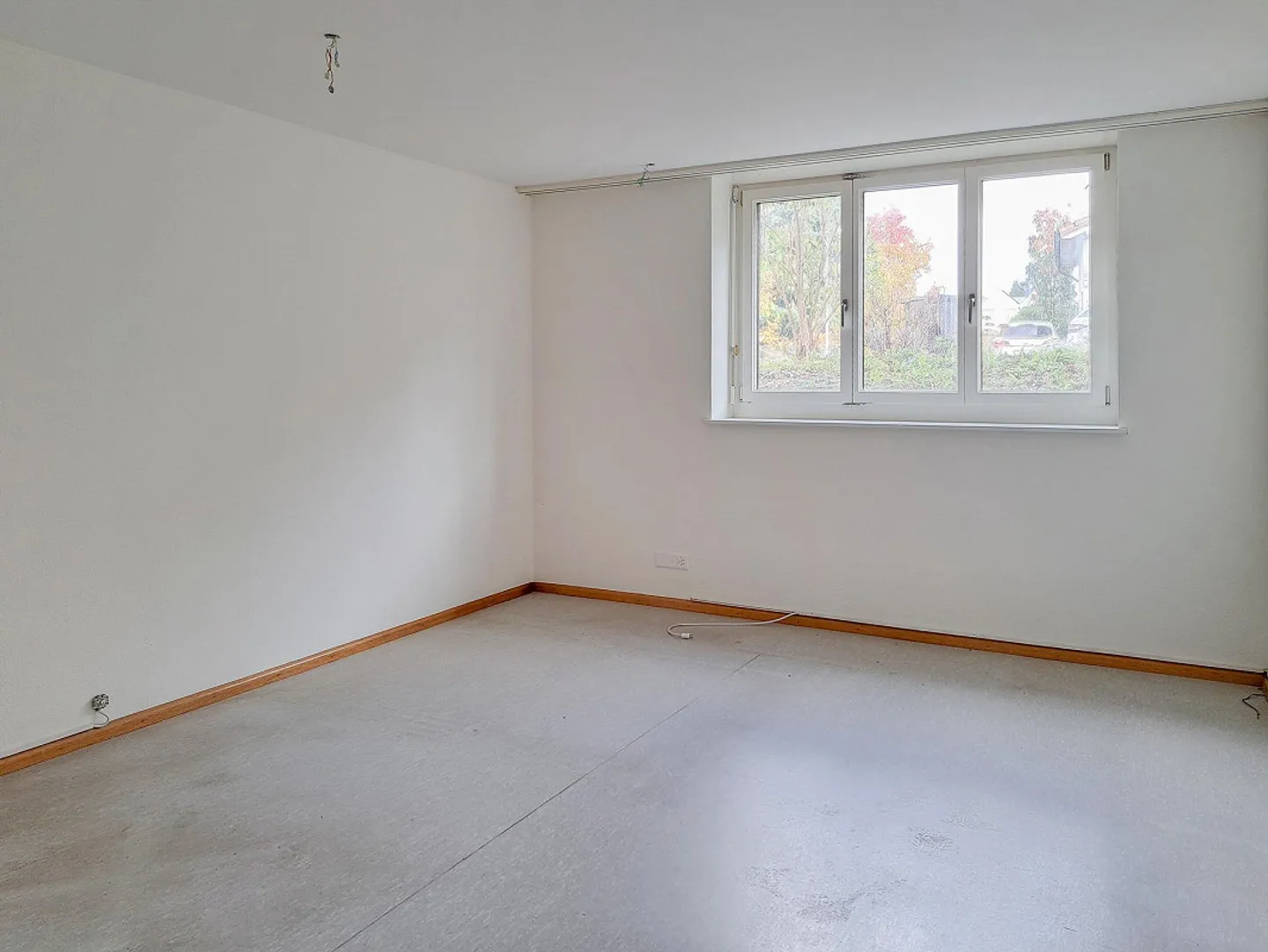 Espaces de studio/bureau de 2 pièces, sous-sol - Photo 2 sur 5