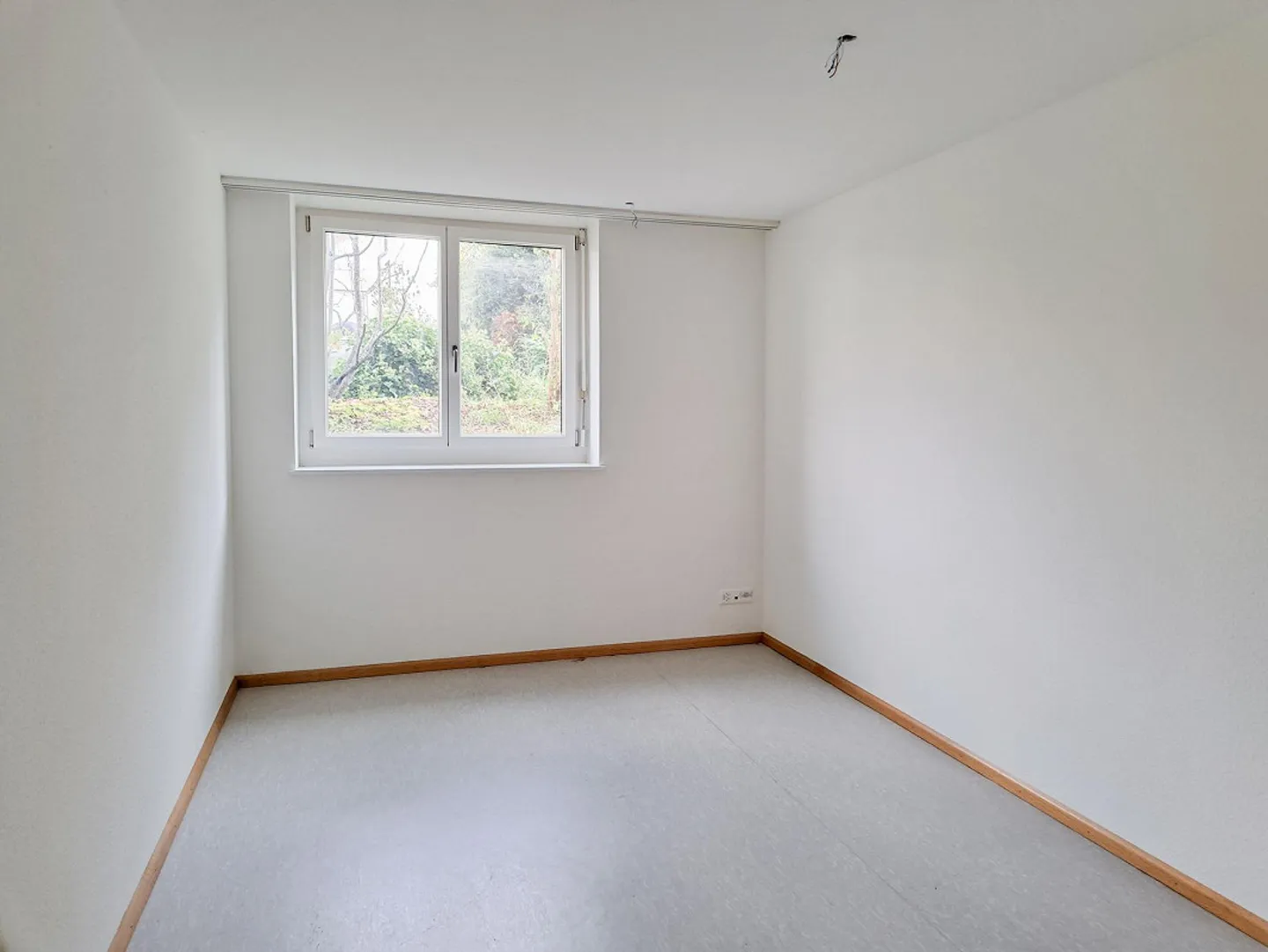 Espaces de studio/bureau de 2 pièces, sous-sol - Photo 3 sur 5