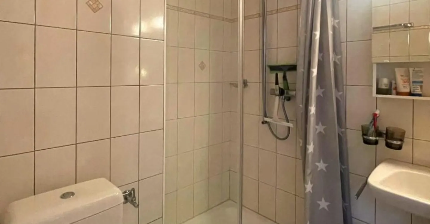 MOLESON | 2.5 Room Apartment - Photo 4 of 5