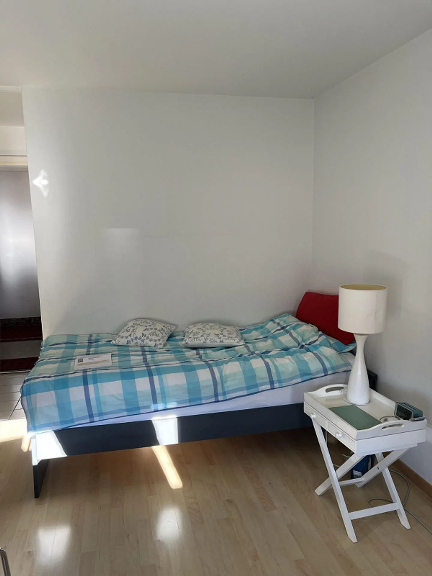Cozy furnished studio in Lucerne - Photo 3 of 9