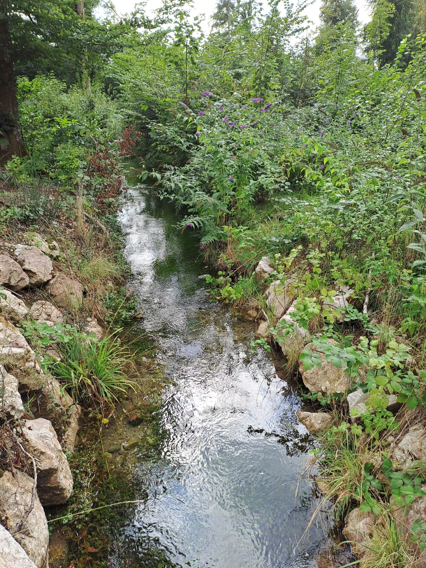 Live right by the recreational area! - Photo 1 of 9