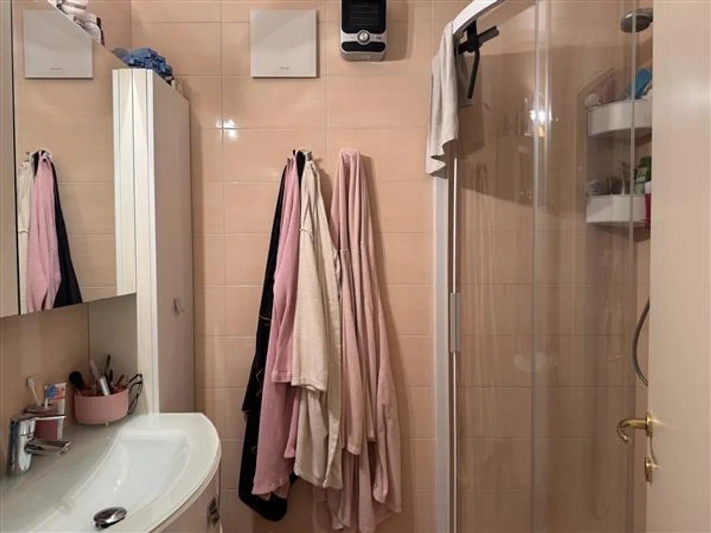 Bedano: 3.5 Room Apartment - Photo 10 of 13