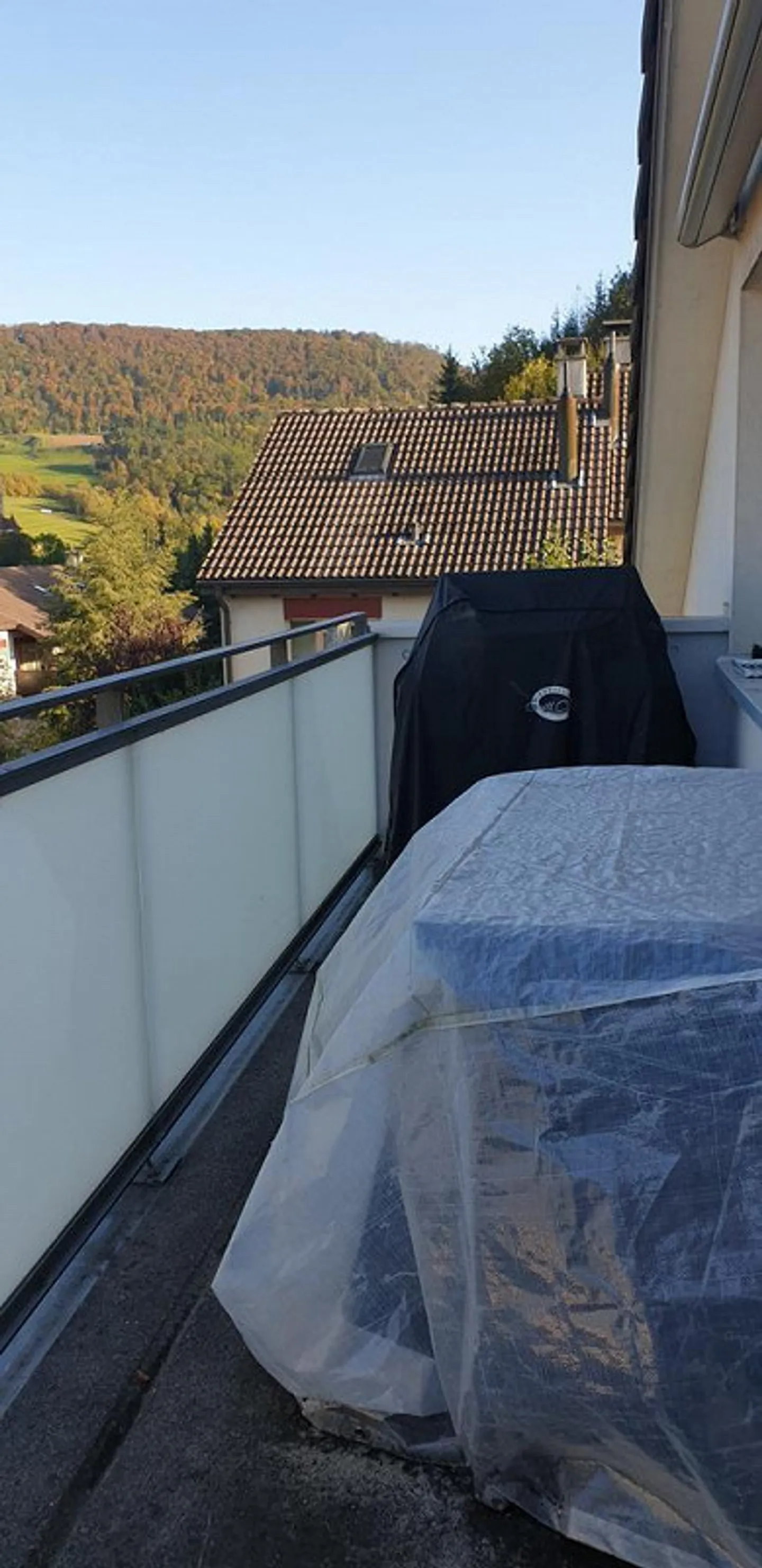 Incantevole appartamento mansardato nel cuore di Aesch - Foto 10 di 11