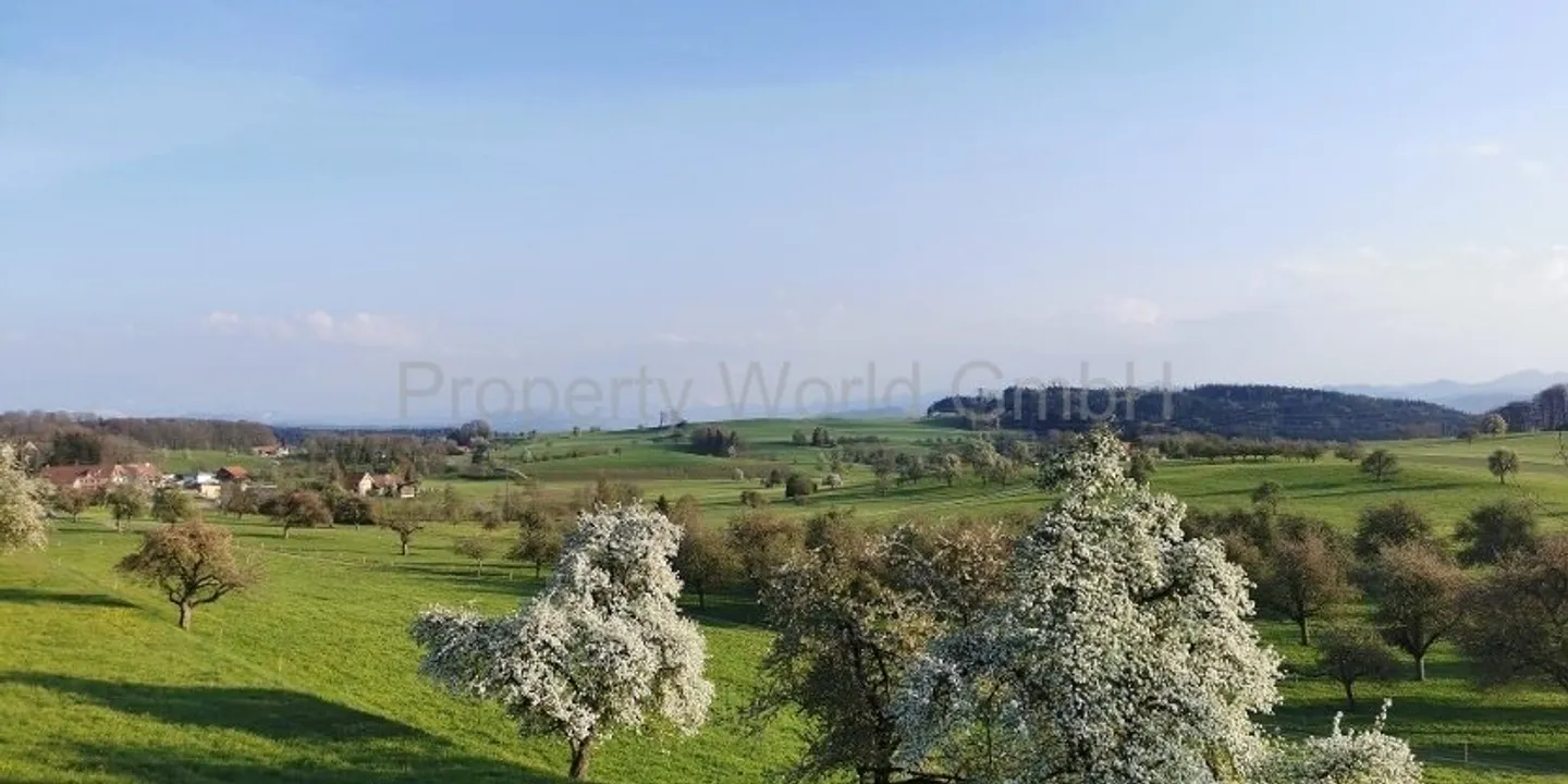 Der Ort, an dem dein Leben beginnt - 3,5 Zimmer Parterre Wohnung in M - Foto 2 von 2