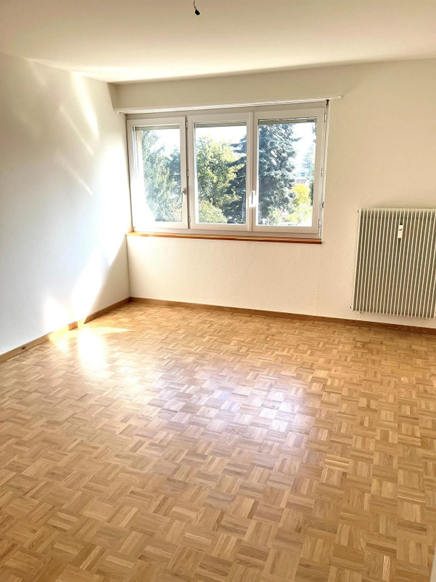 Cozy, quiet 4.5 room apartment in the 'green' yet central - Photo 11 of 11