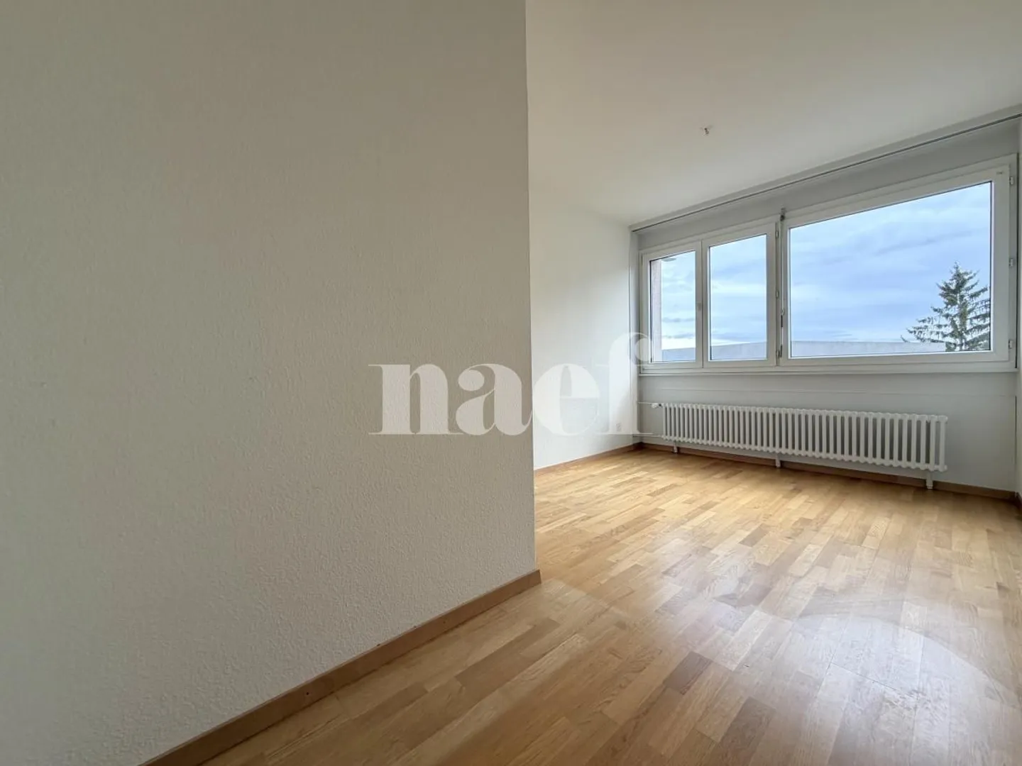 4-Zimmer-Wohnung - Foto 5 von 11