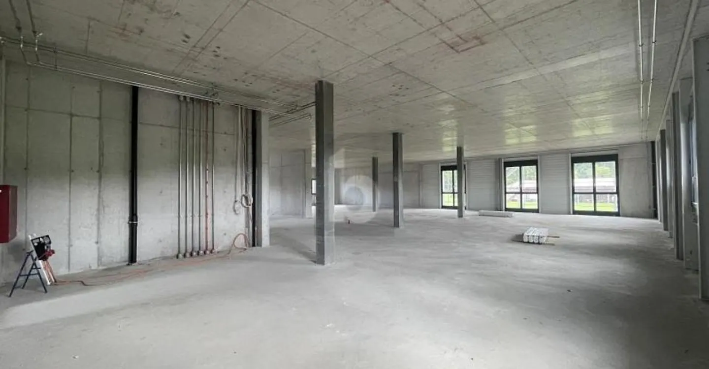 NEW BUILDING PROJECT FOR YOUR COMPANY - Photo 2 of 6