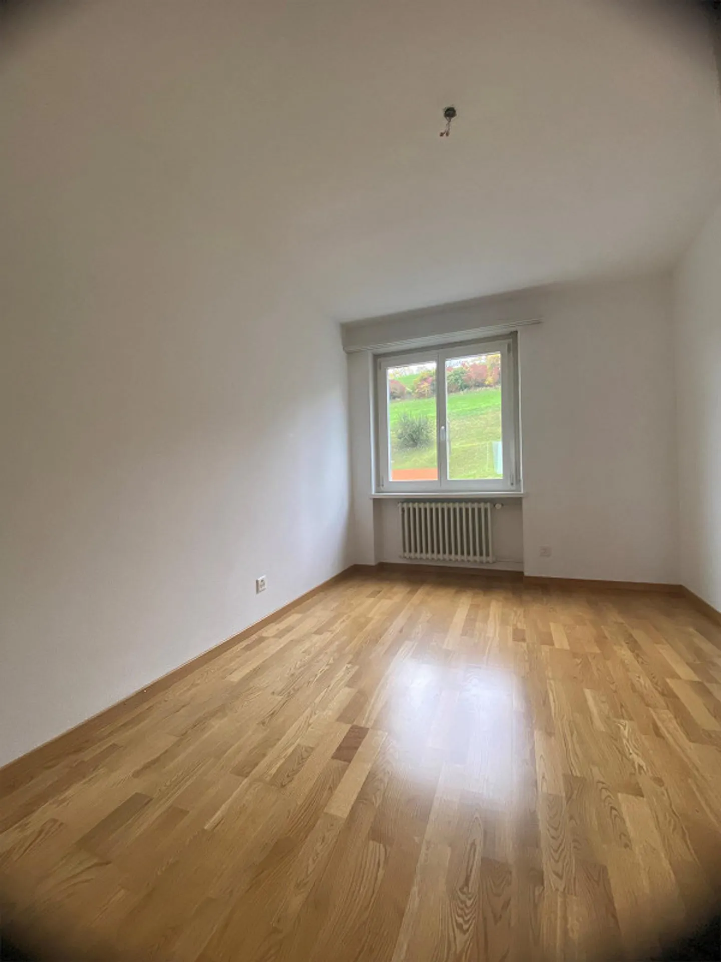 Charmante Wohnung im Lützelmatt - Foto 10 von 10