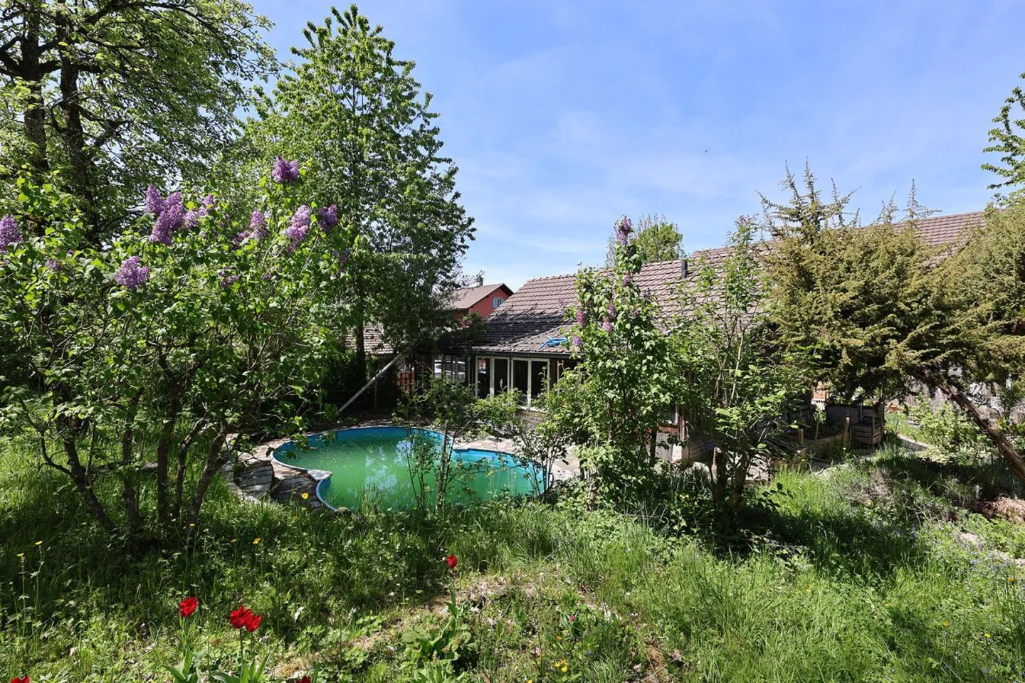 Esclusivo - Incantevole casa con 7,5 stanze e 2.000 m2 di terreno - Foto 5 di 13