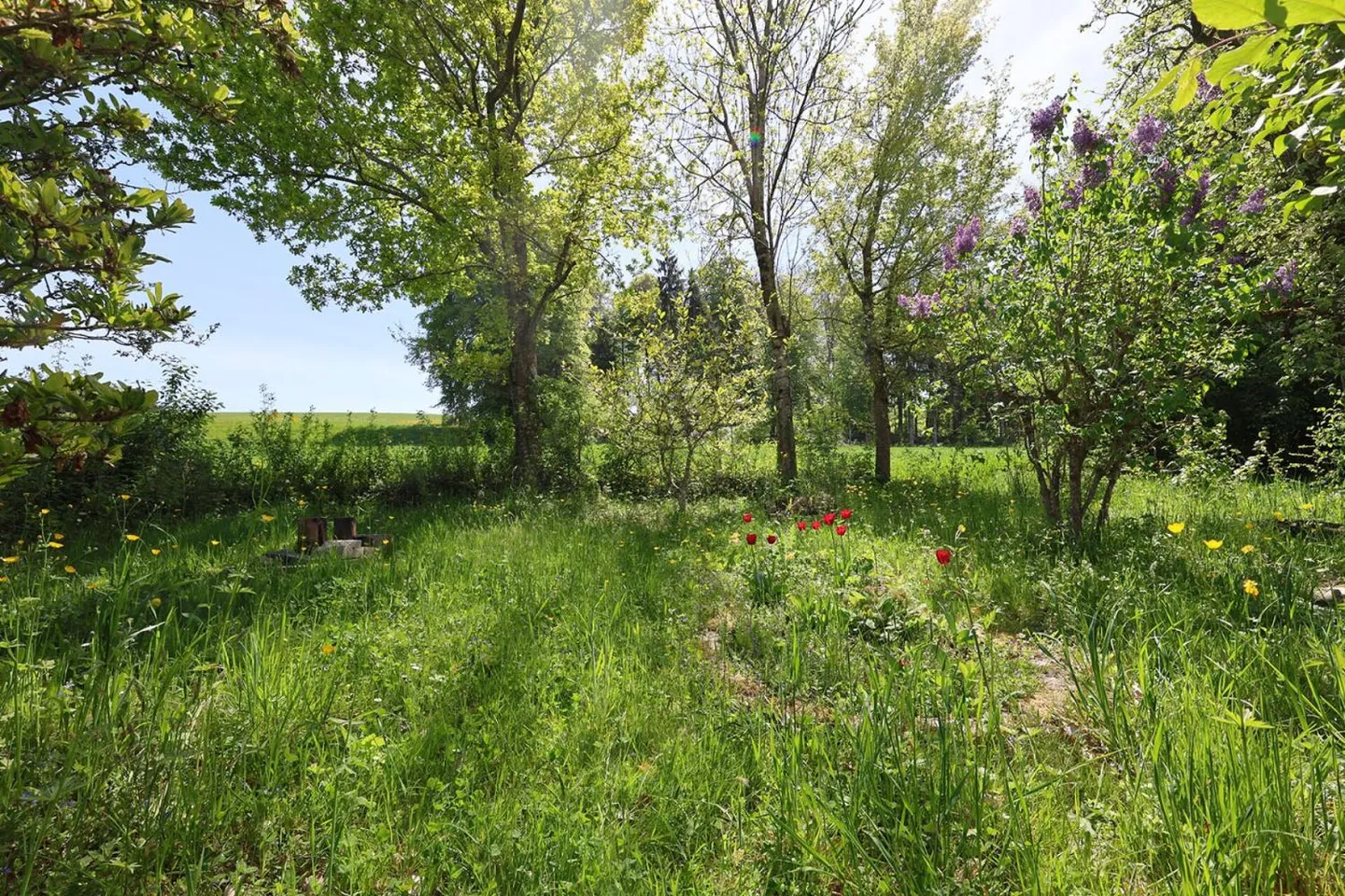 Esclusivo - Incantevole casa con 7,5 stanze e 2.000 m2 di terreno - Foto 6 di 13