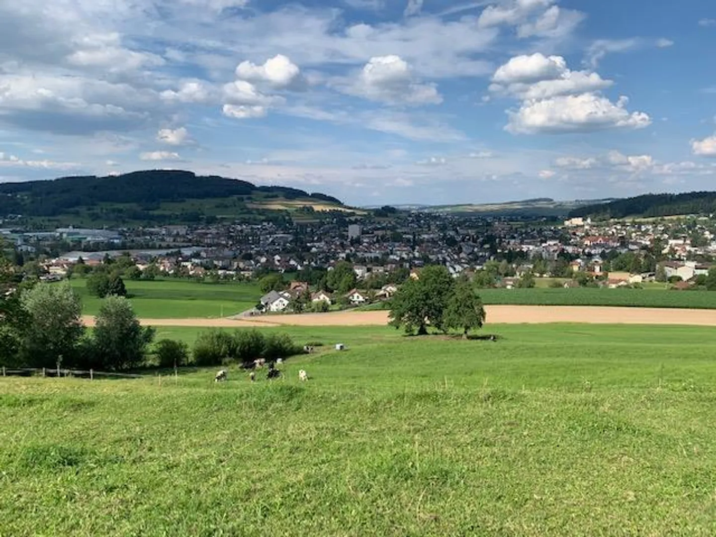 Baugrundstück mit genehmigtem Haus - Foto 1 von 11