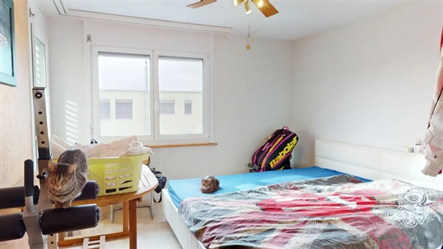 4.5 stanze, ultimo piano in una posizione tranquilla - Foto 10 di 13