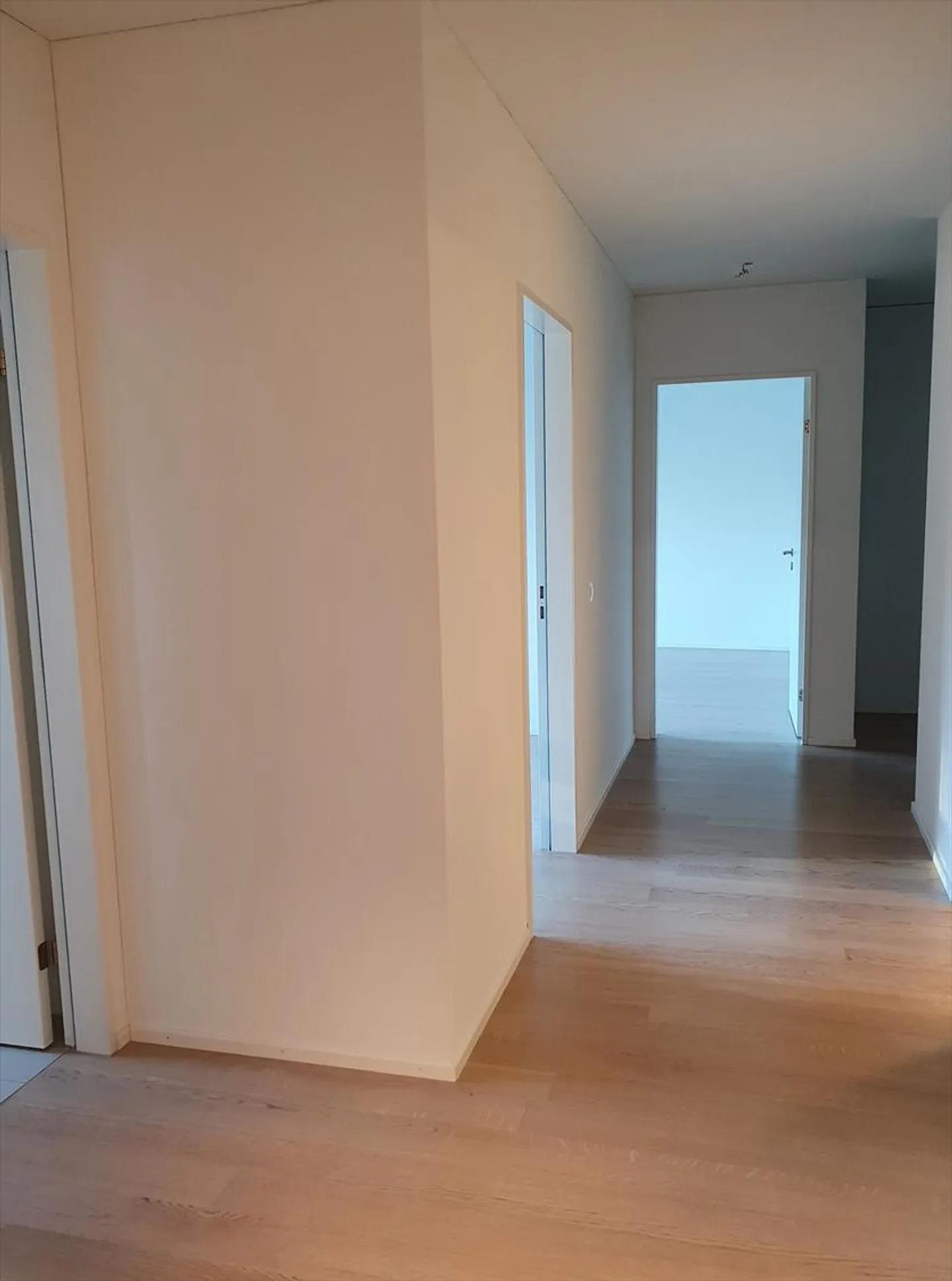 Spacious and Central - Photo 2 of 11